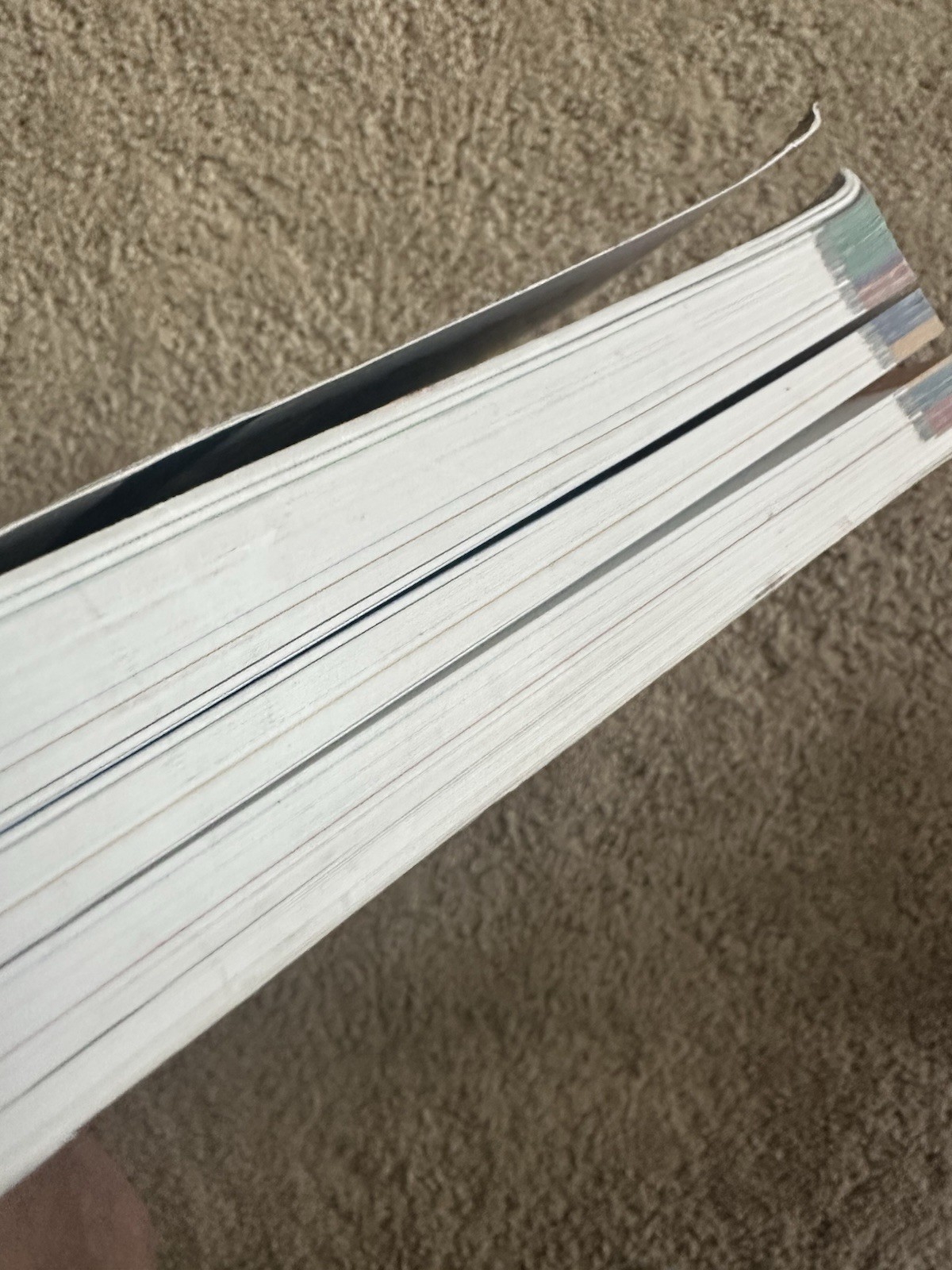 Netter Atlas of Human Anatomy – 8th Edition – Frank H. Netter – Paperback W/code