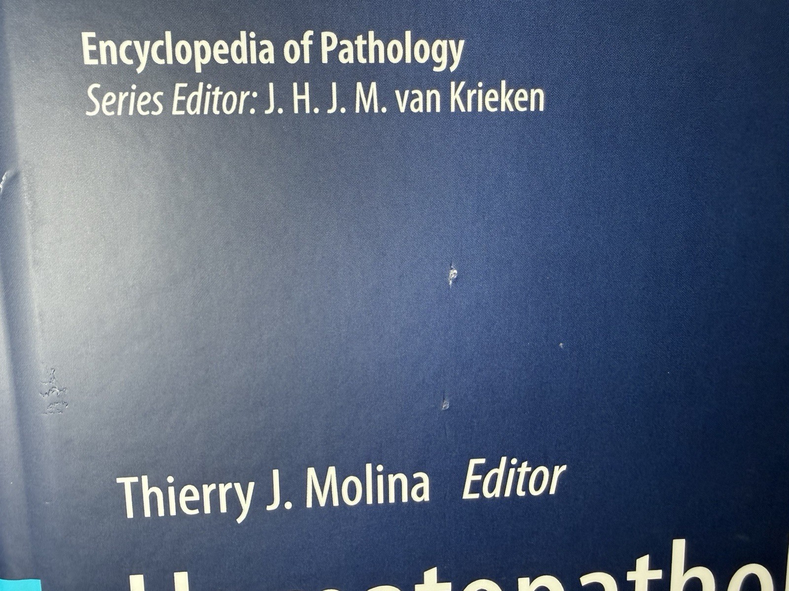 Hematopathology Molina Springer Hardcover Medical Textbook Pathology Reference