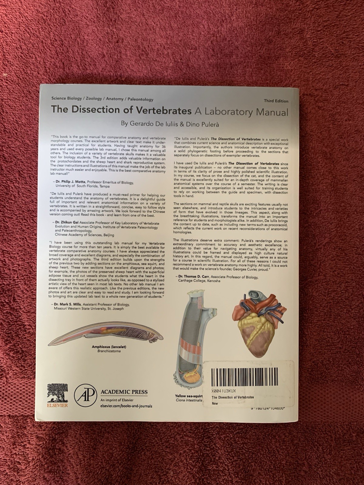 Dissection of Vertebrates by Dino Pulerà and Gerardo De Iuliis (2019, Trade…