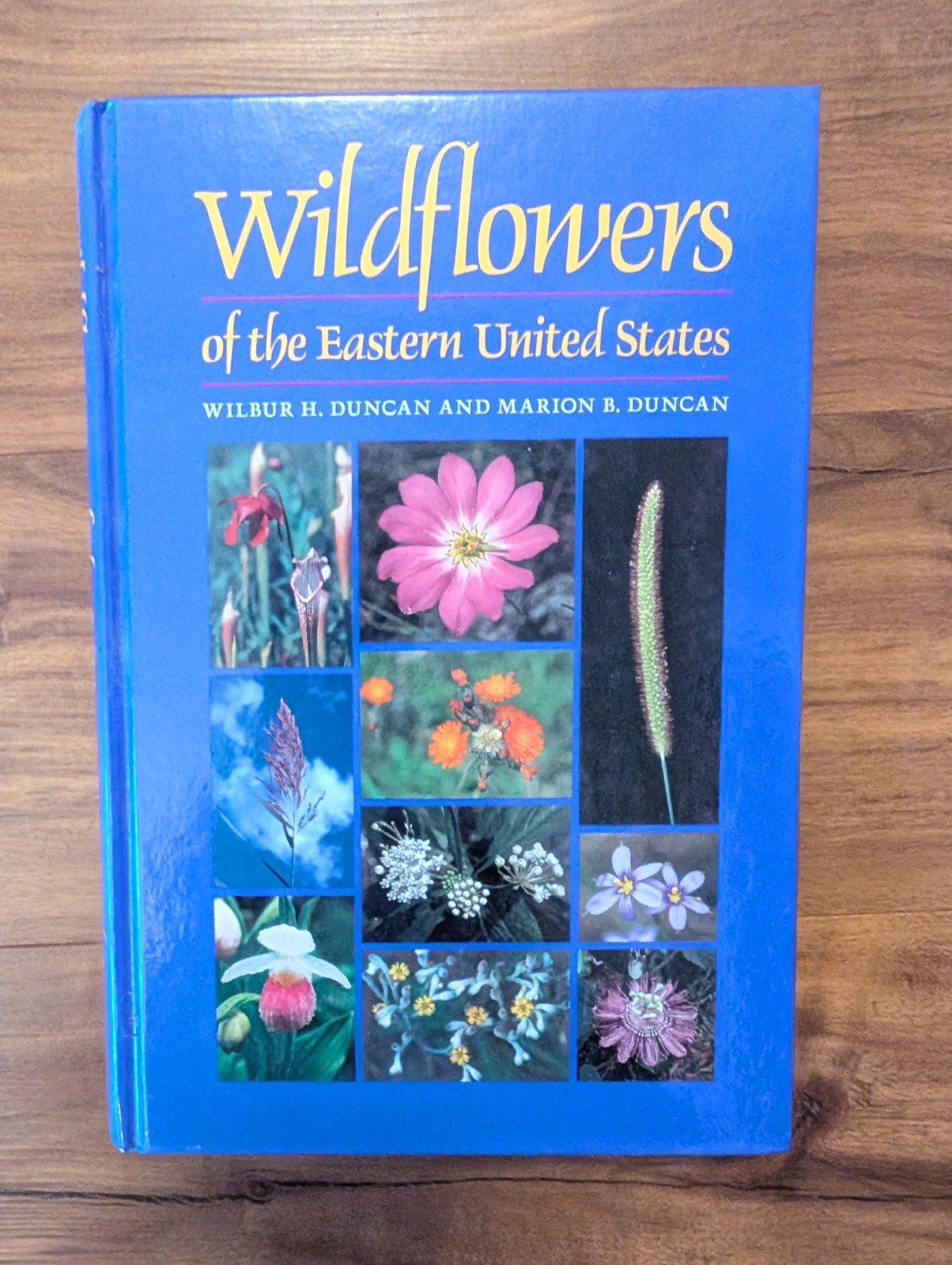 Wildflowers of the Eastern United States by Wilbur H Duncan Hardcover