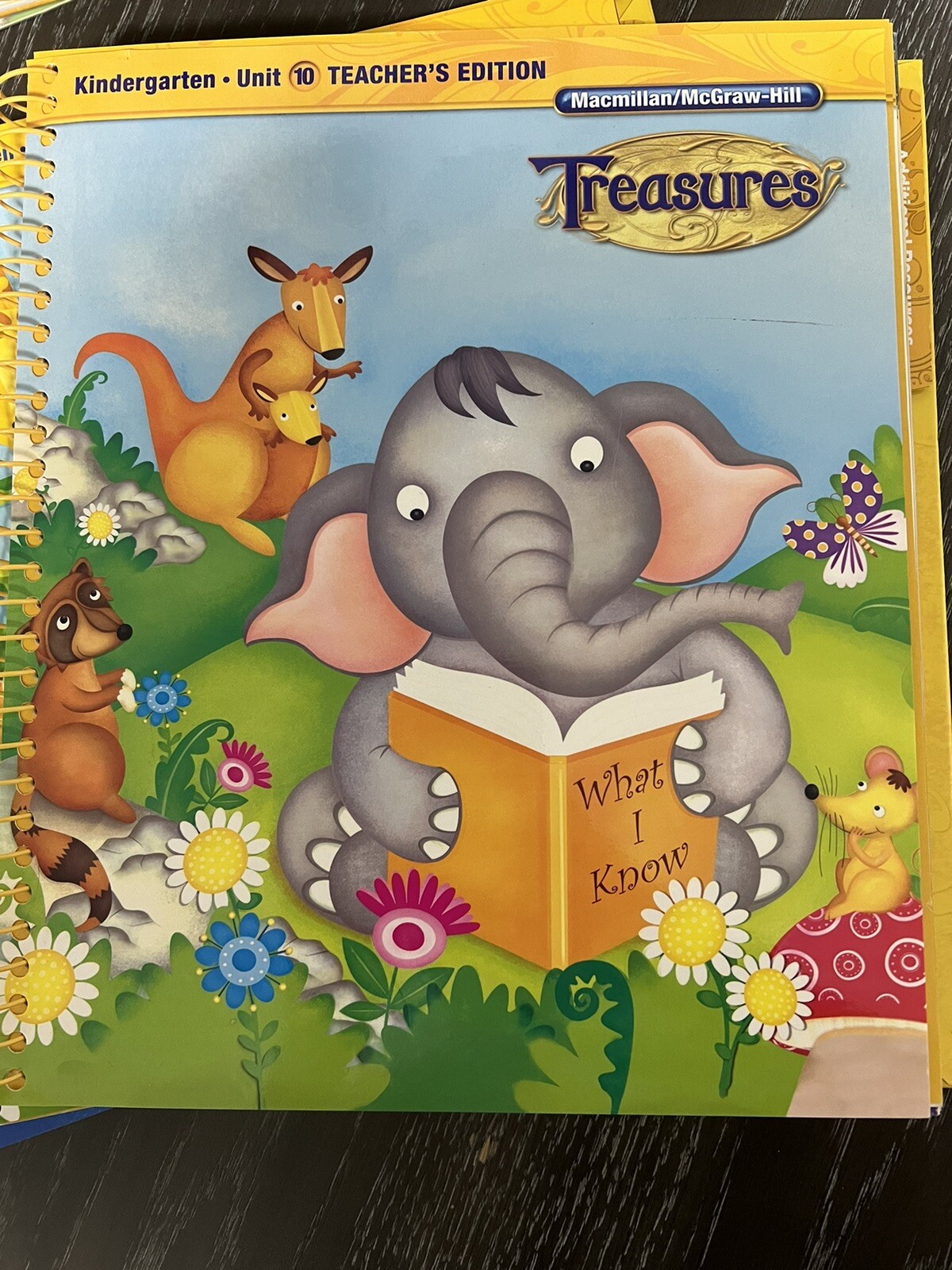 Macmillan McGraw Hill Treasures Grade K Kindergarten Teacher’s Edition 1-8 & 10