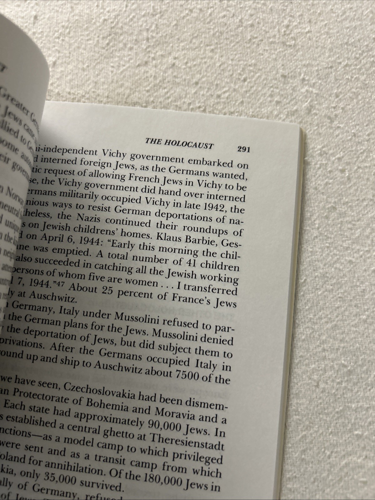Hitler and Nazi Germany: A History by Spielvogel, Jackson P2