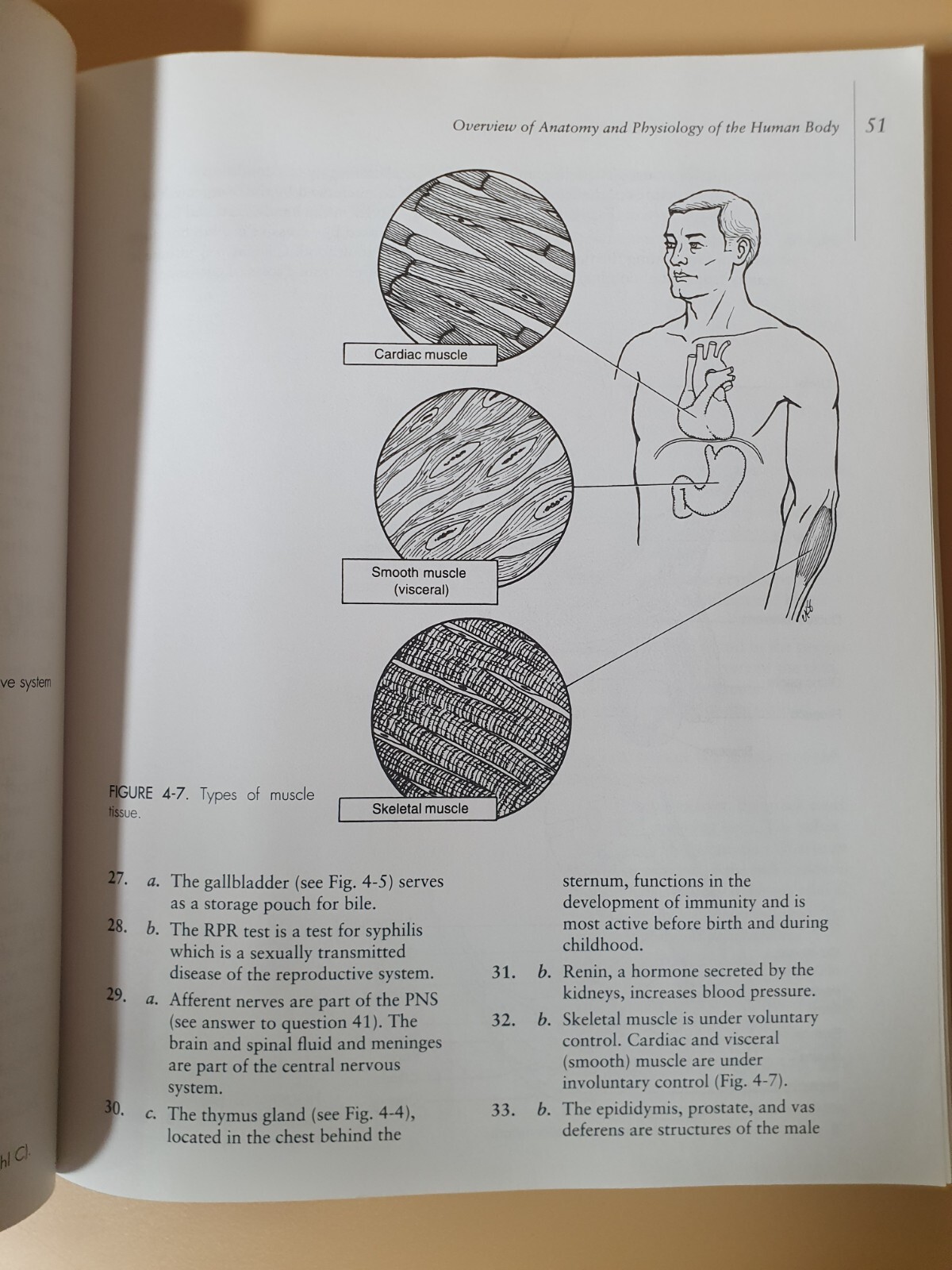 Phlebotomy Exam Review/By Ruth E.McCall & Cathee M.Tankersley (1997)