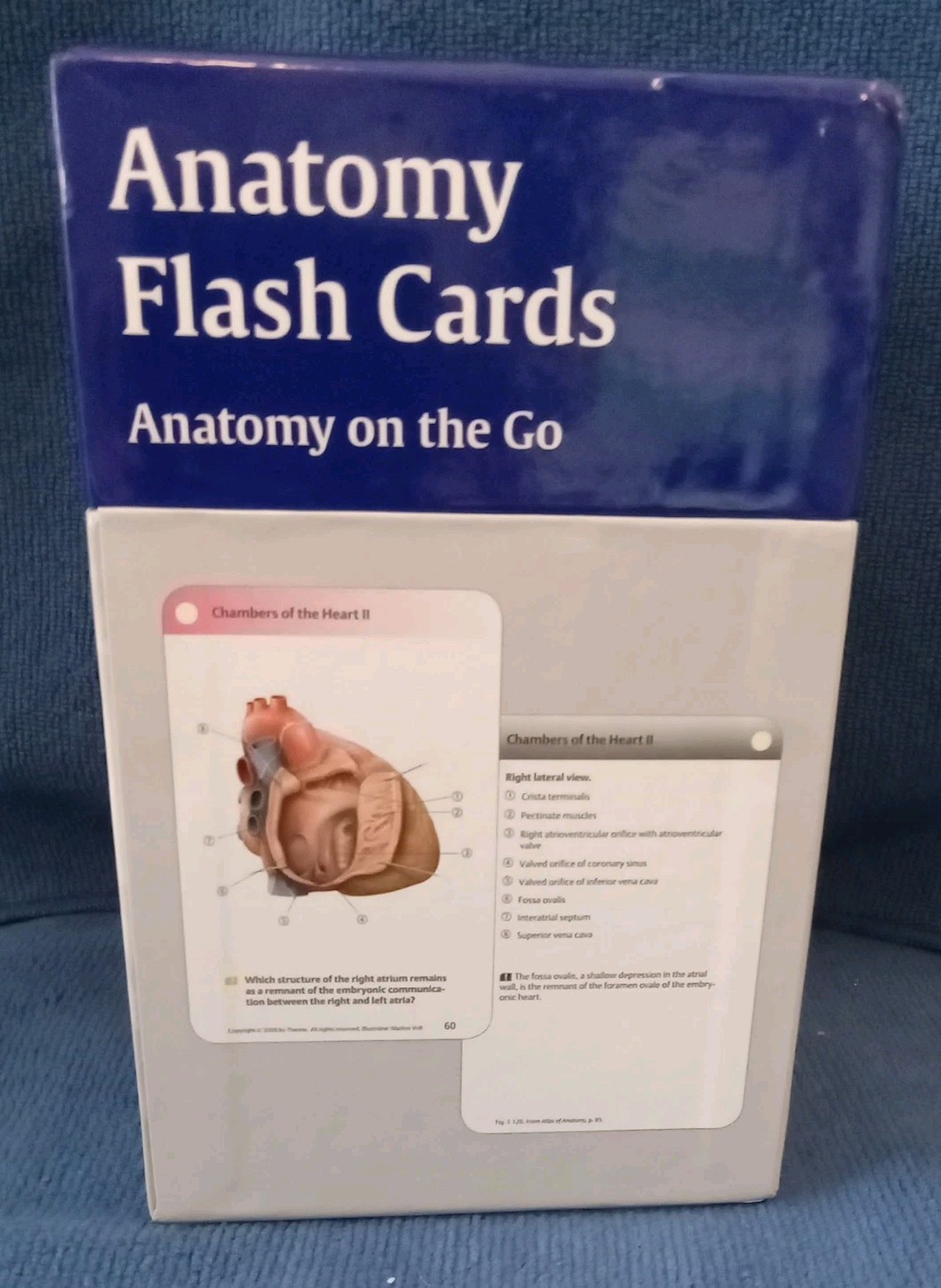 Anatomy Flash Cards by Anne M. Gilroy: Very Good Condition