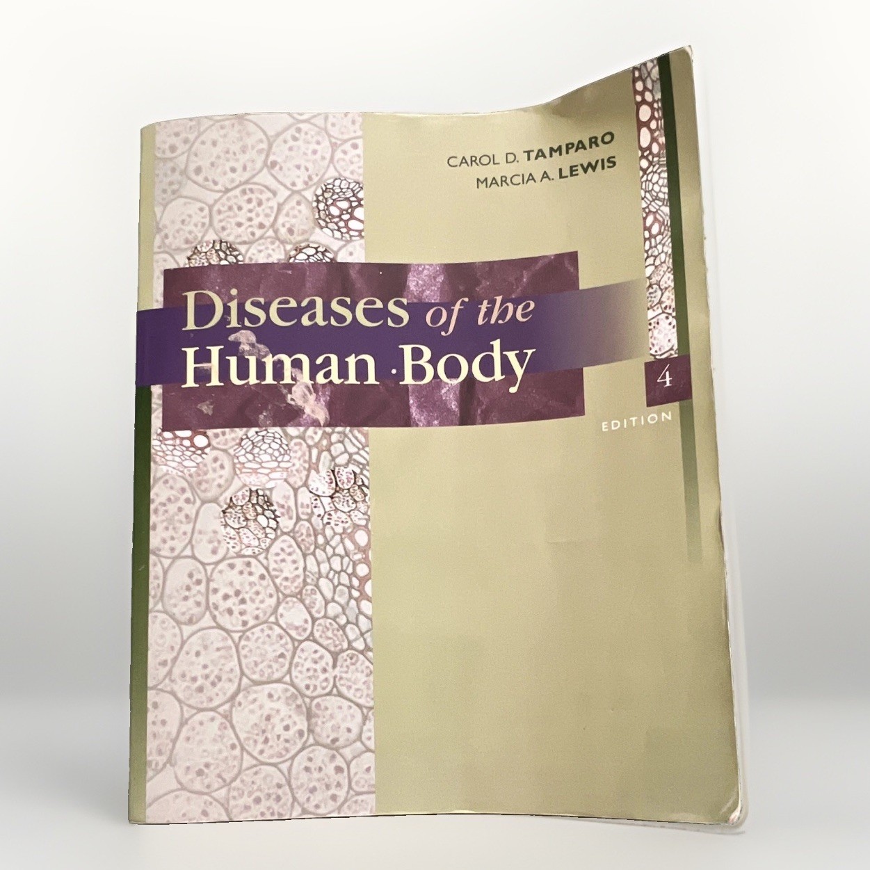F. A. Davis Diseases of the Human Body 4th Ed PB Tamparo Lewis 2005 Taber’s