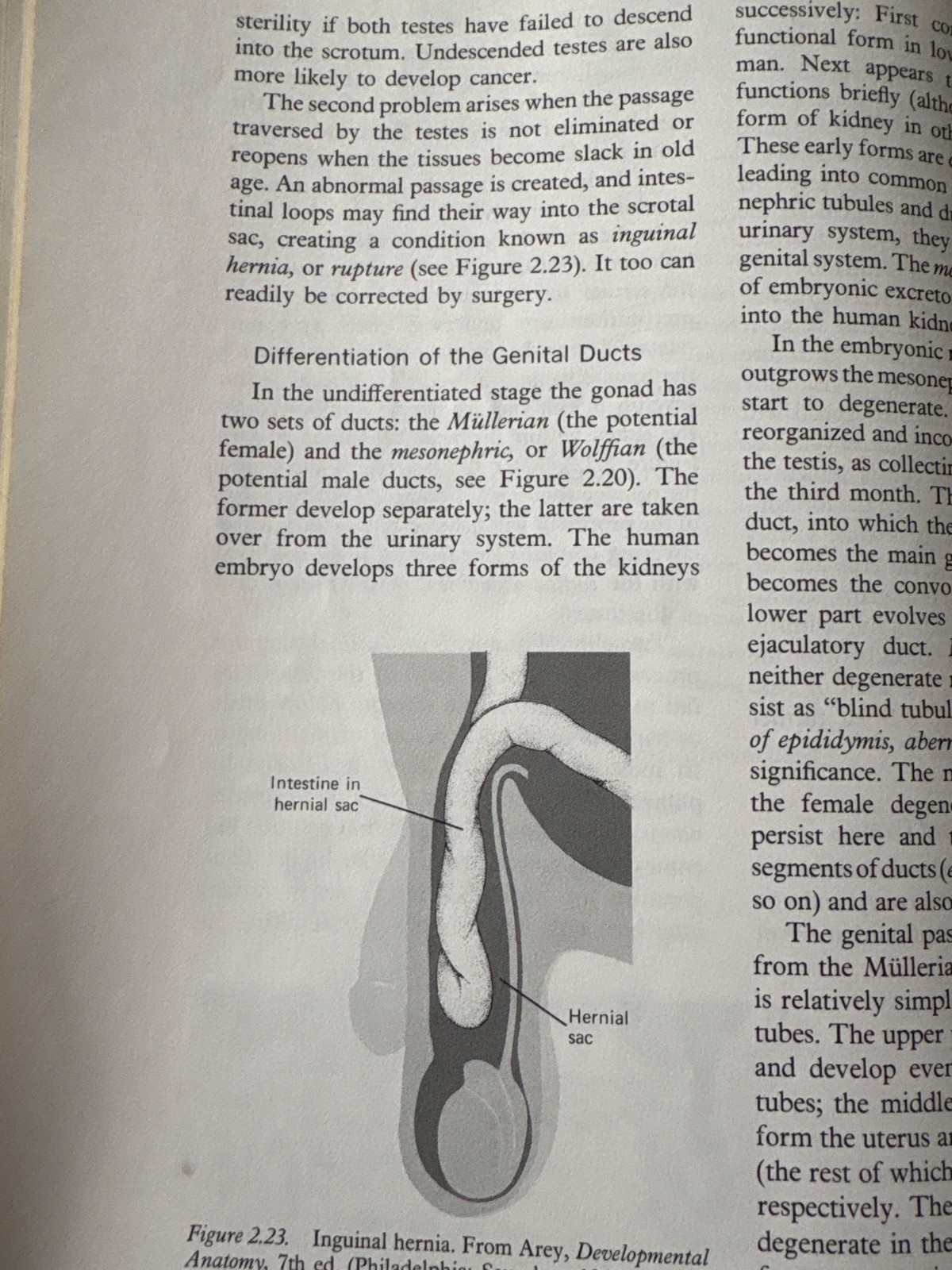 Fundamentals Of Human Sexuality By Herant A. Katchadourian & Donald T. Lunde 197