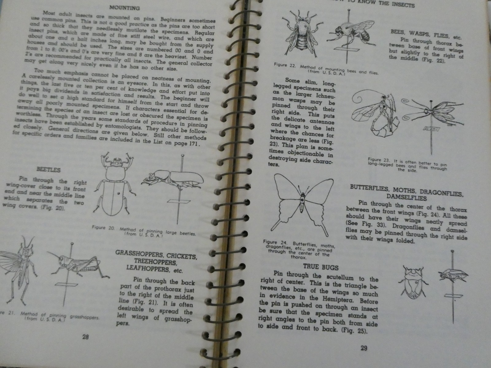 HOW TO KNOW THE INSECTS PUB 1947 SPIRAL BOUND HARD PAPER COVER 205 PAGES
