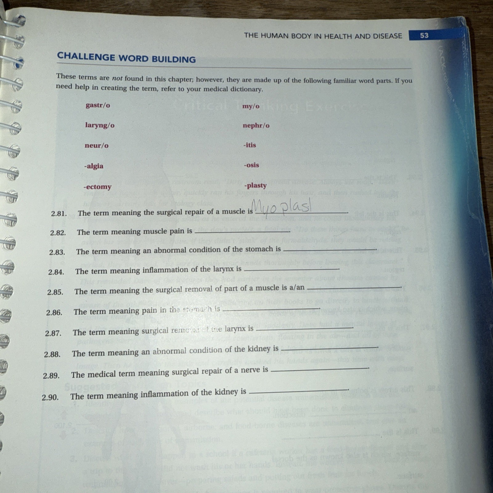 Medical Terminology for Health Professions with Studyware CD-ROM