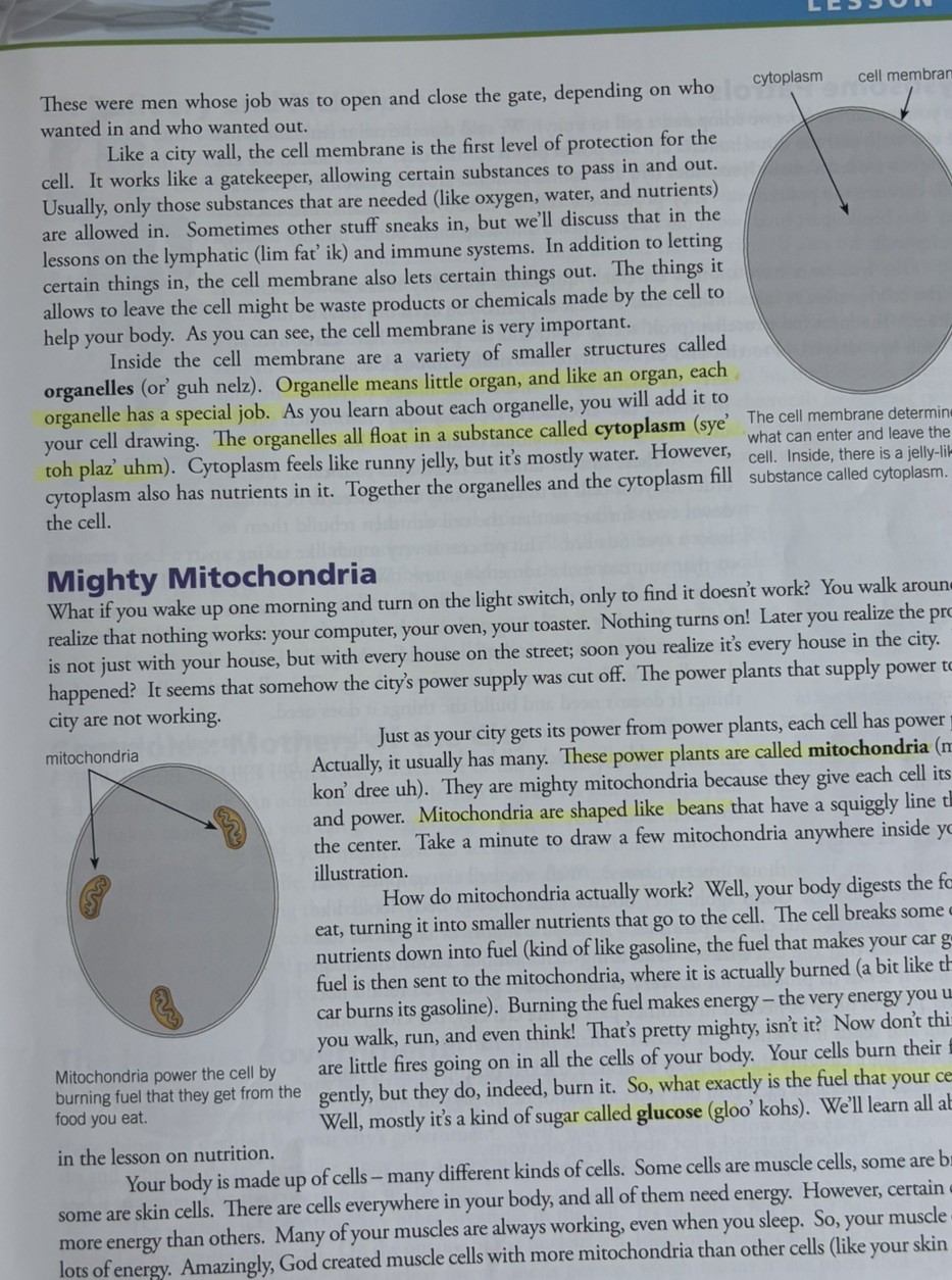 Exploring Creation with Human Anatomy and Physiology Textbook