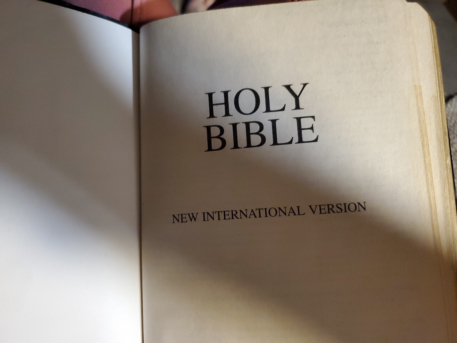 HOLY BIble, Zondervan, 2001, New International Version, ISBN 0-310-92616-5 GREAT