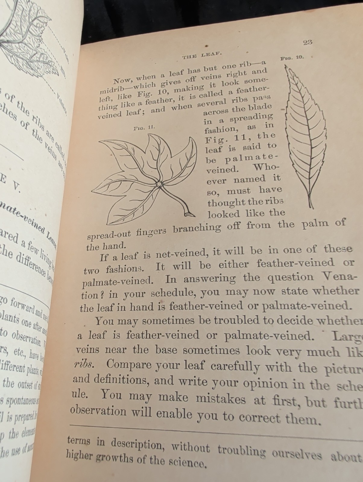 1872 First Book of Botany by Eliza A Youmans, Illustrated Hardcover 202 pages
