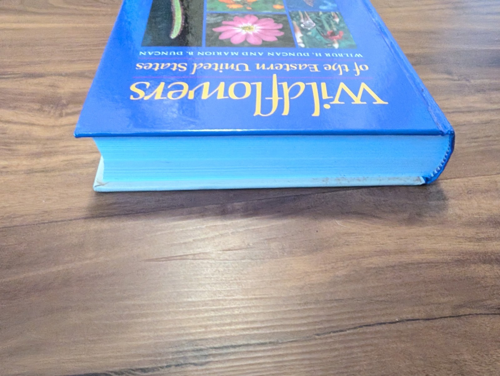 Wildflowers of the Eastern United States by Wilbur H Duncan Hardcover