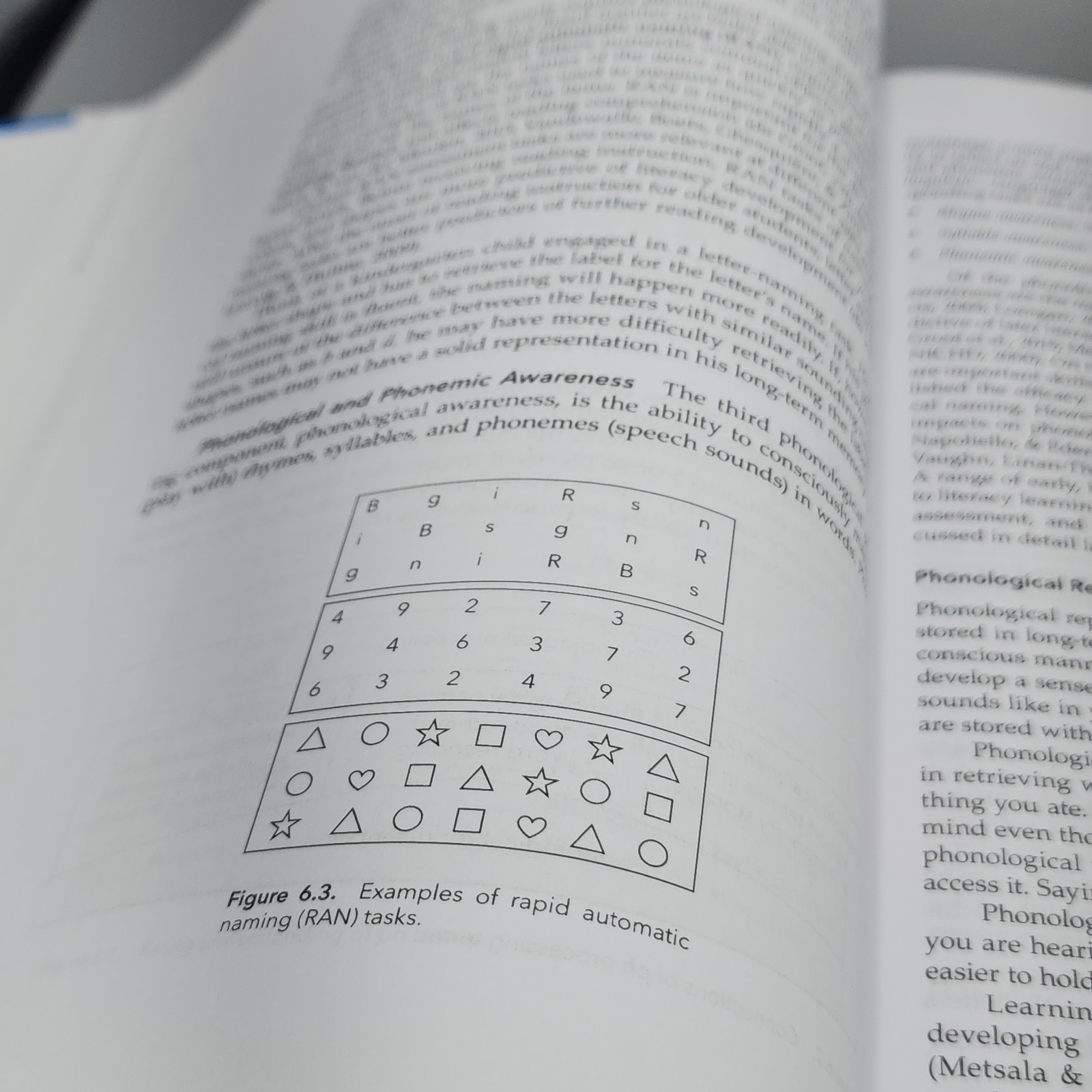 Multisensory Teaching of Basic Language Skills by Suzanne Carreker, Graham…