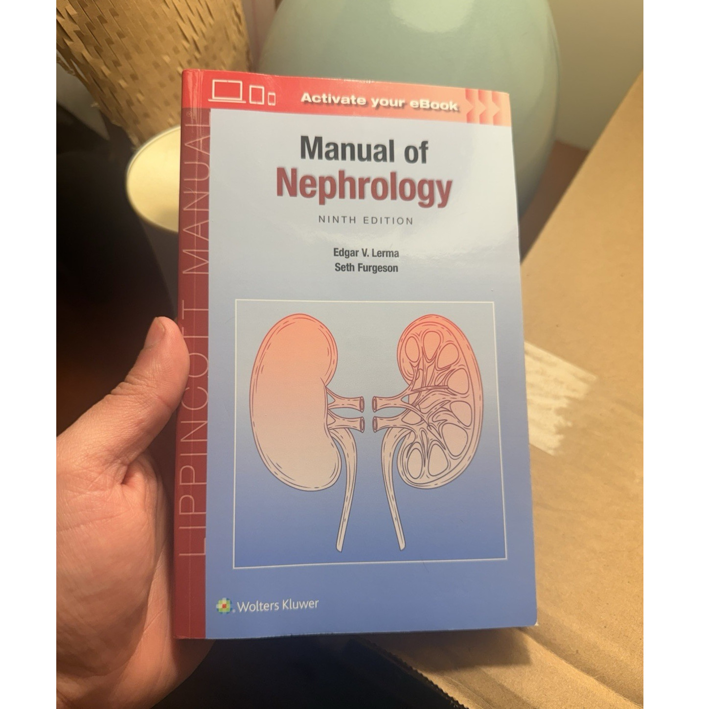 Manual of Nephrology Ninth Edition Lerma & Furgeson Wolters Kluwer Paperback