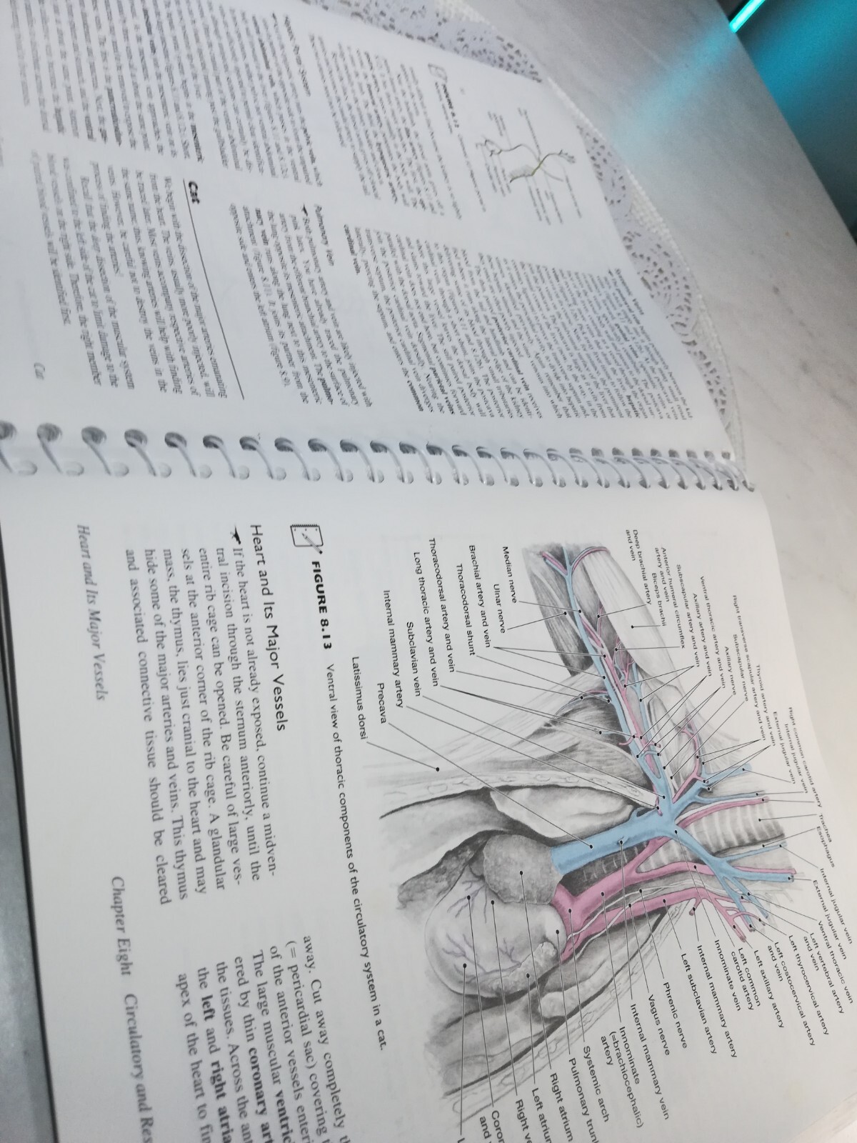 Comparative Vertebrate Anatomy: A Laboratory Dissection Guide – 6th edition