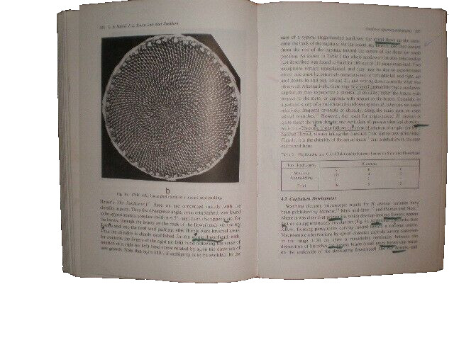 Spiral Symmetry by Clifford A. Pickover (1993, Hardcover) ACCEPTABLE