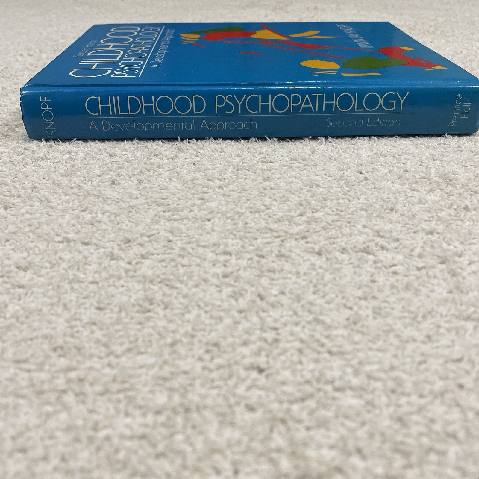 Childhood Psychopathology 2nd Edition