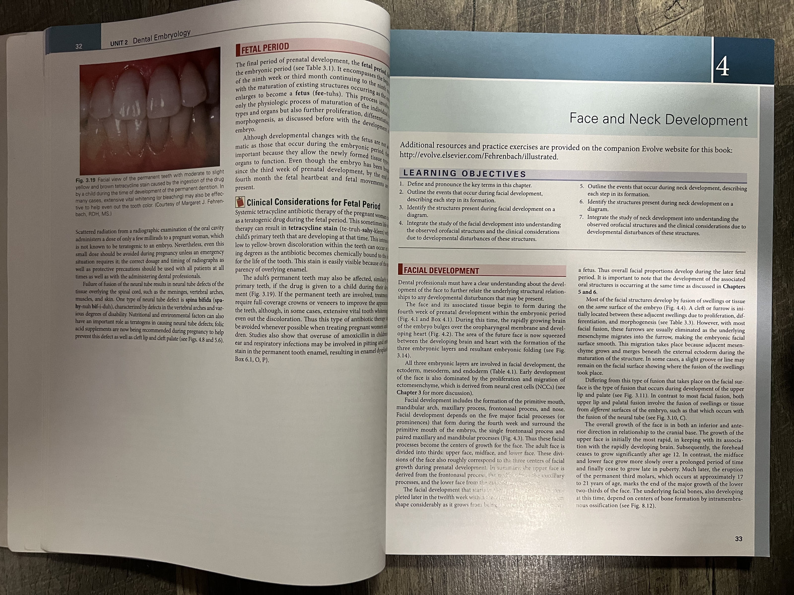 Illustrated Dental Embryology, Histology, and Anatomy by Margaret J. Fehrenbach
