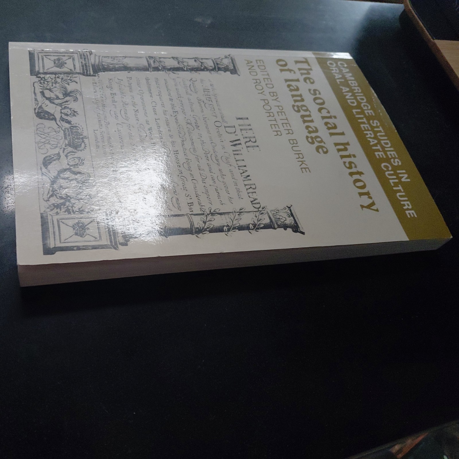 Cambridge Studies in Oral and Literate Culture Ser.: Social History of Language
