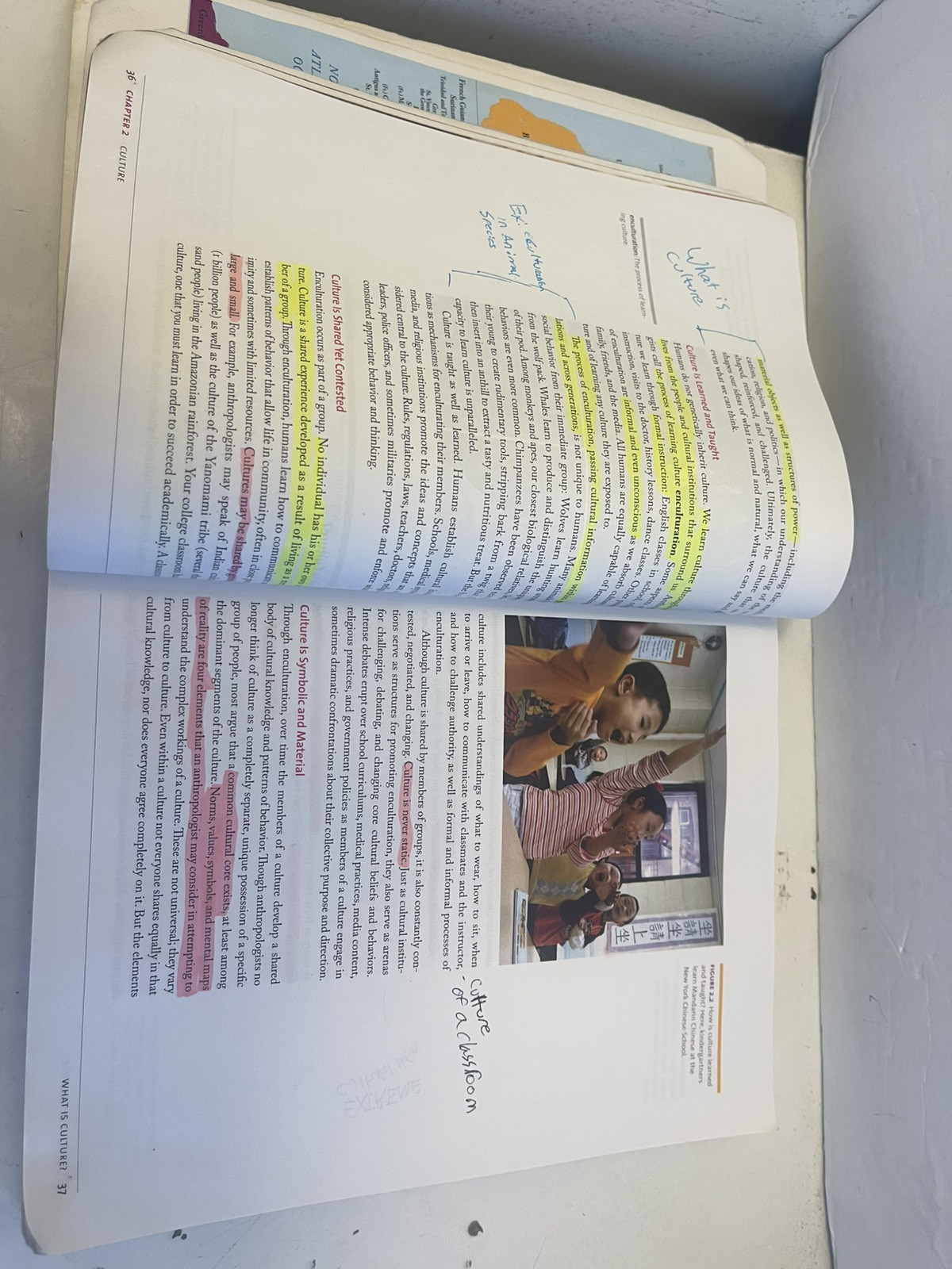 Cultural Anthropology : A Toolkit for a Global Age by Kenneth J. Guest (2013,…