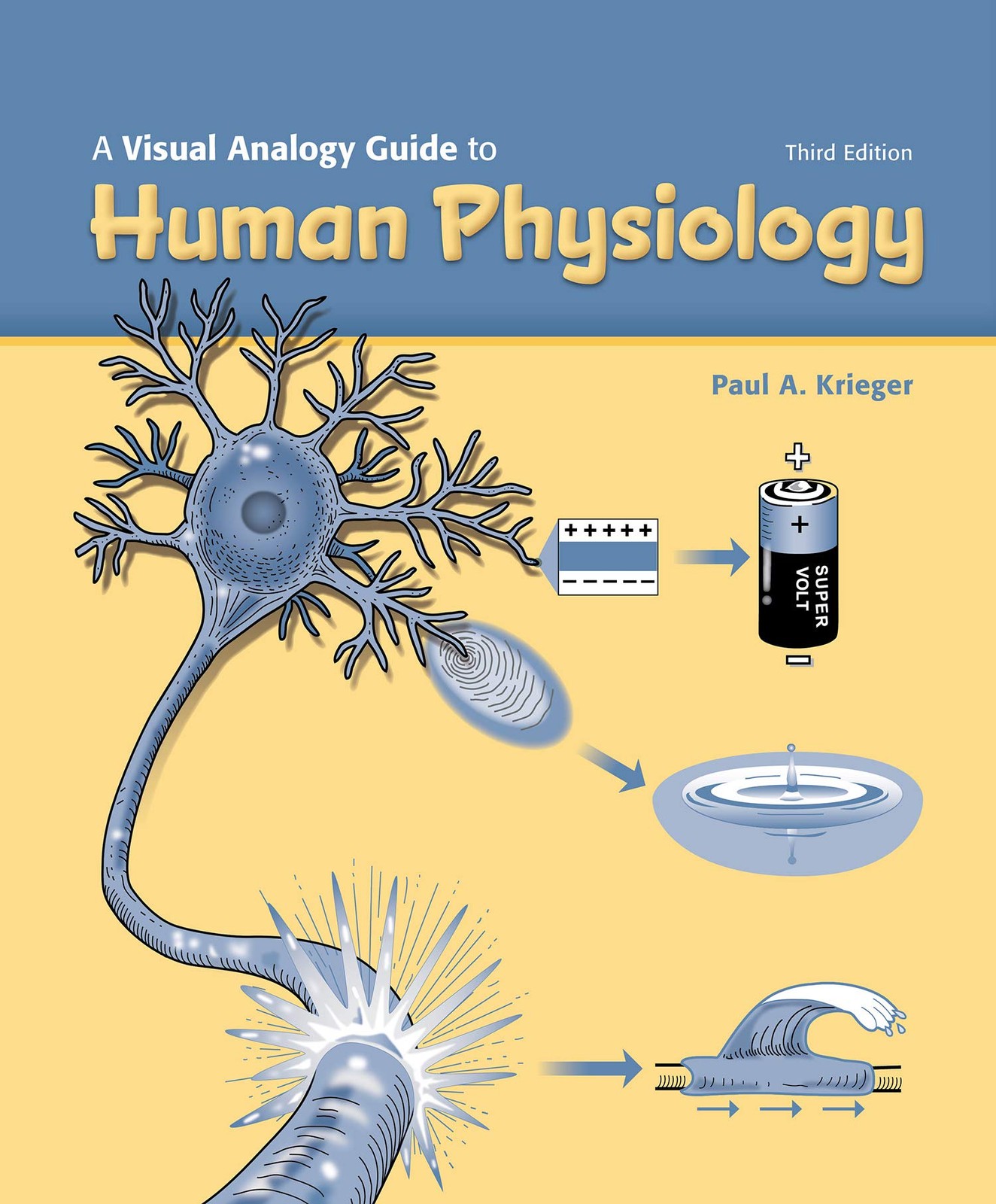 A VISUAL ANALOGY GUIDE TO HUMAN PHYSIOLOGY, 3E BY Paul A. Krieger LOOSE_LEAF
