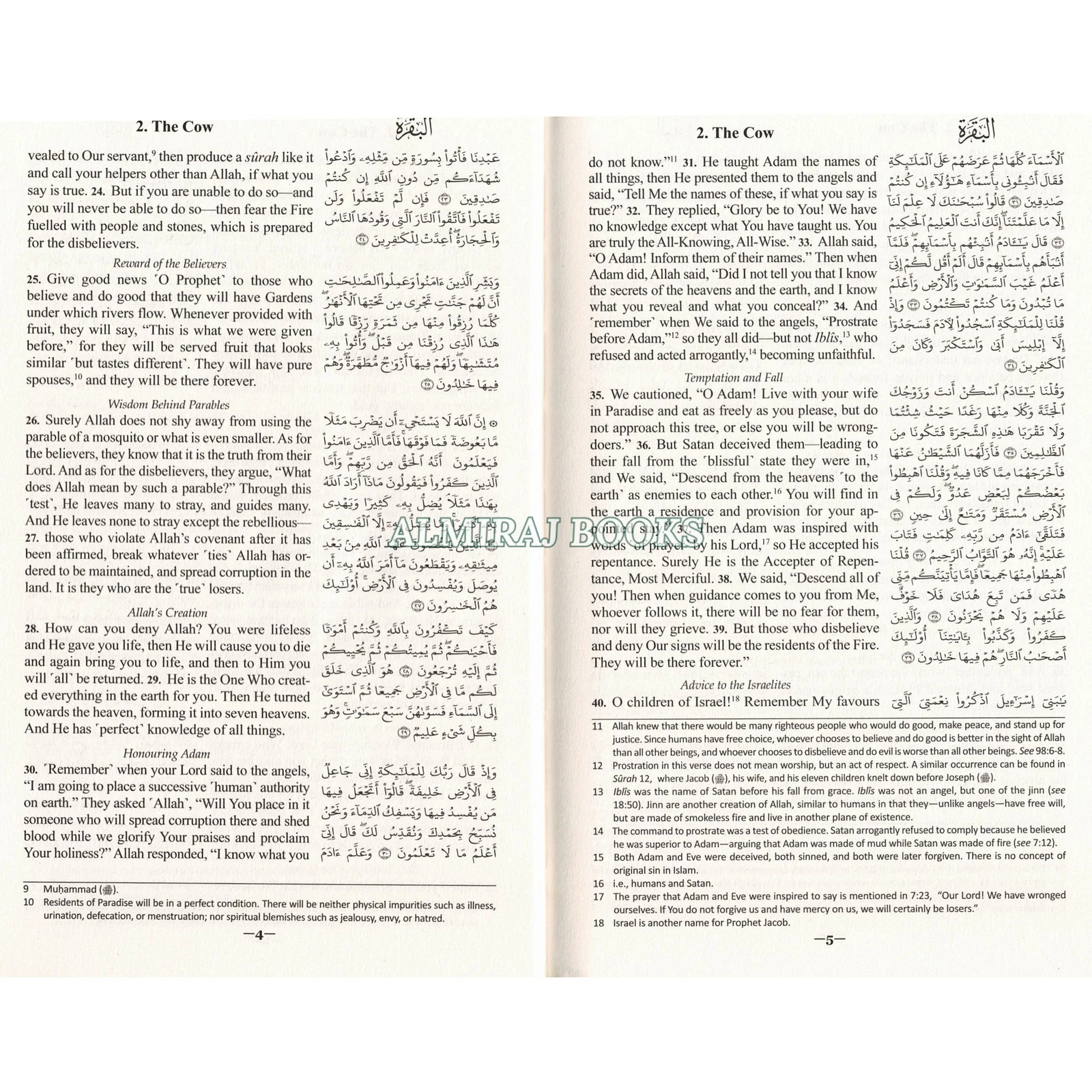 The Clear Quran with Arabic Text (Flexible Cover)