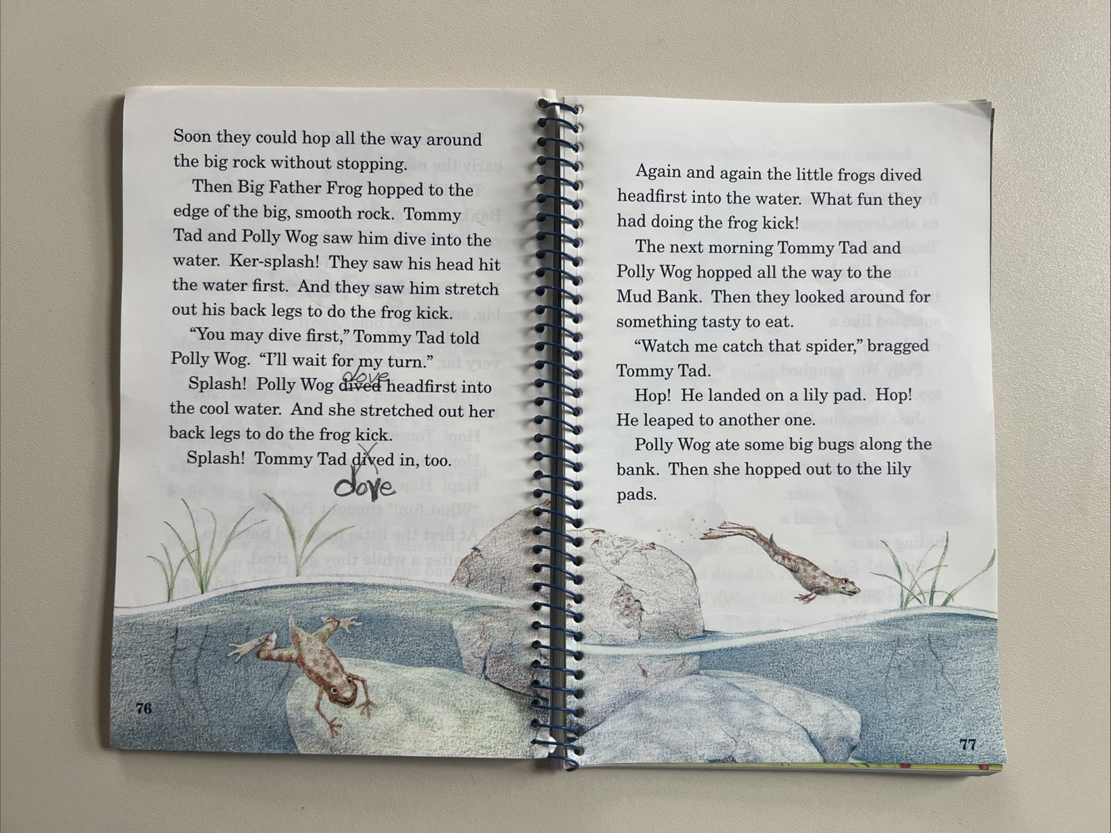 A Beka 1st Grade Animals in the Great Outdoors Set – Teacher and Student Books