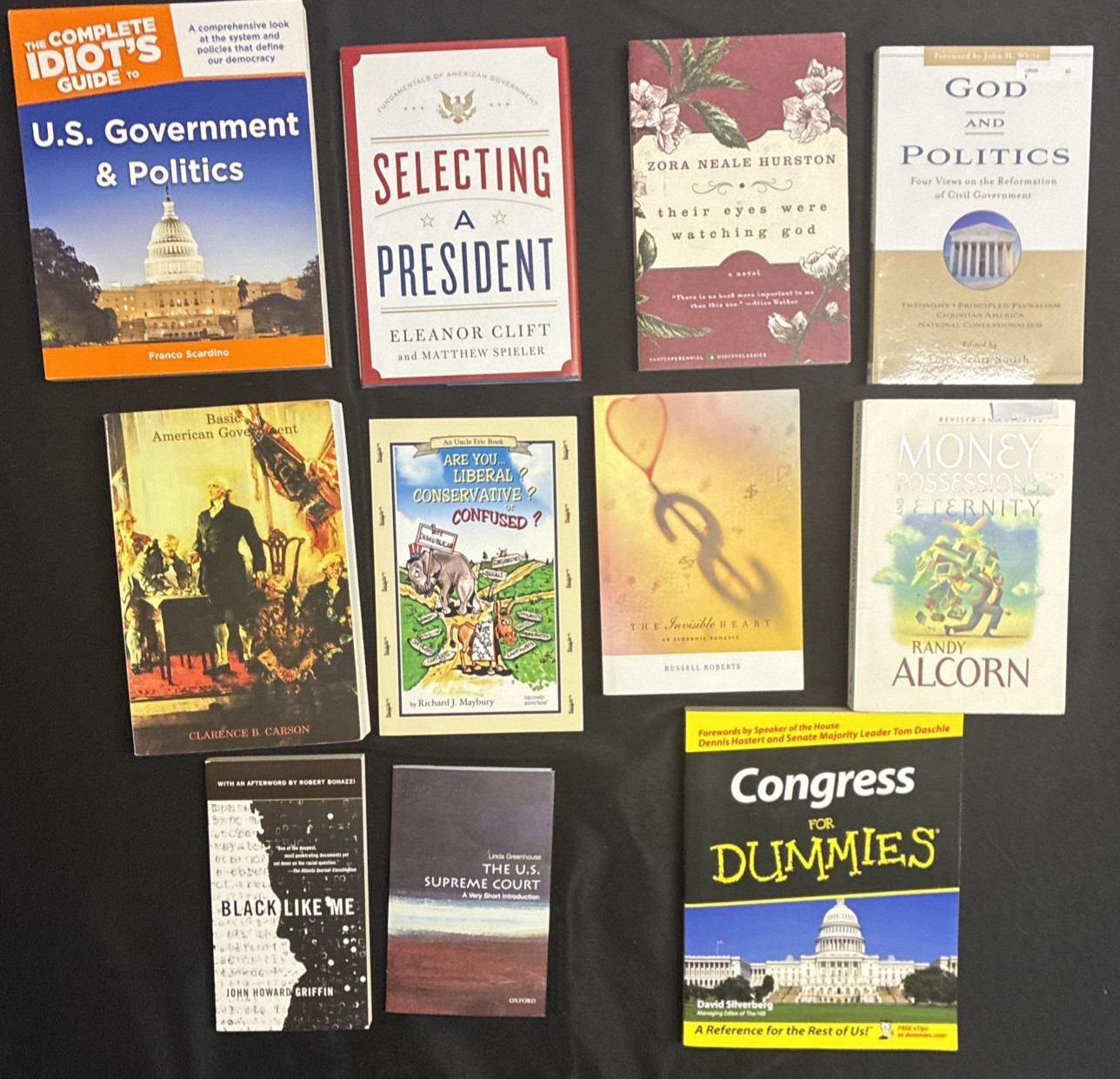 Sonlight Level 400 American Government and Civics Set of 11 Books – US Politics