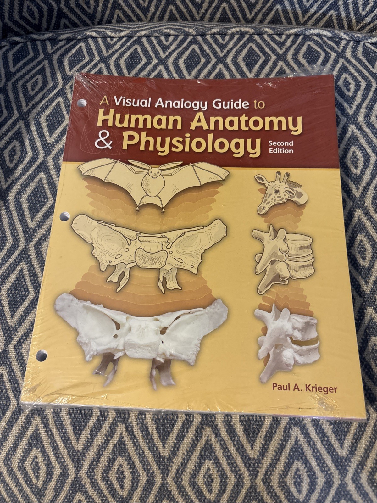 Visual Analogy Guide to Human Anatomy and Physiology by Paul A. Krieger…
