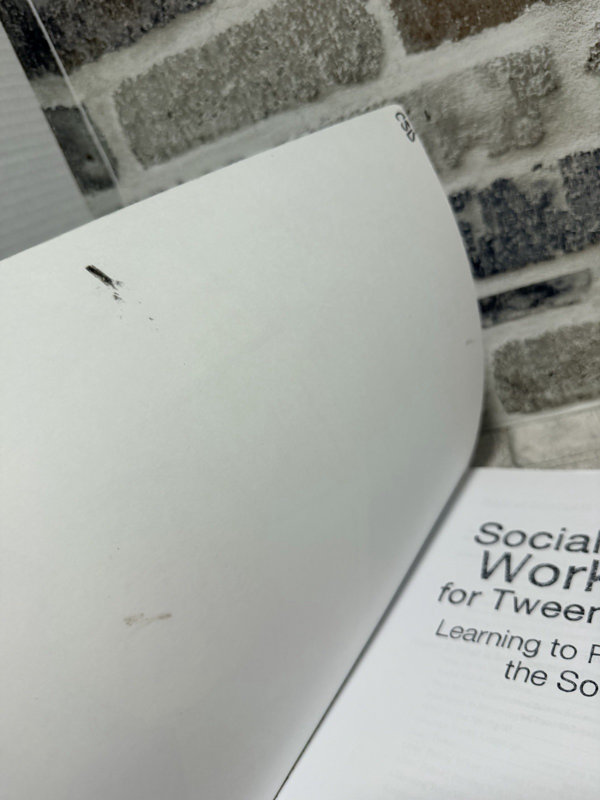 Social thinking worksheets for tweens and teens 160 worksheets, Michelle Winner