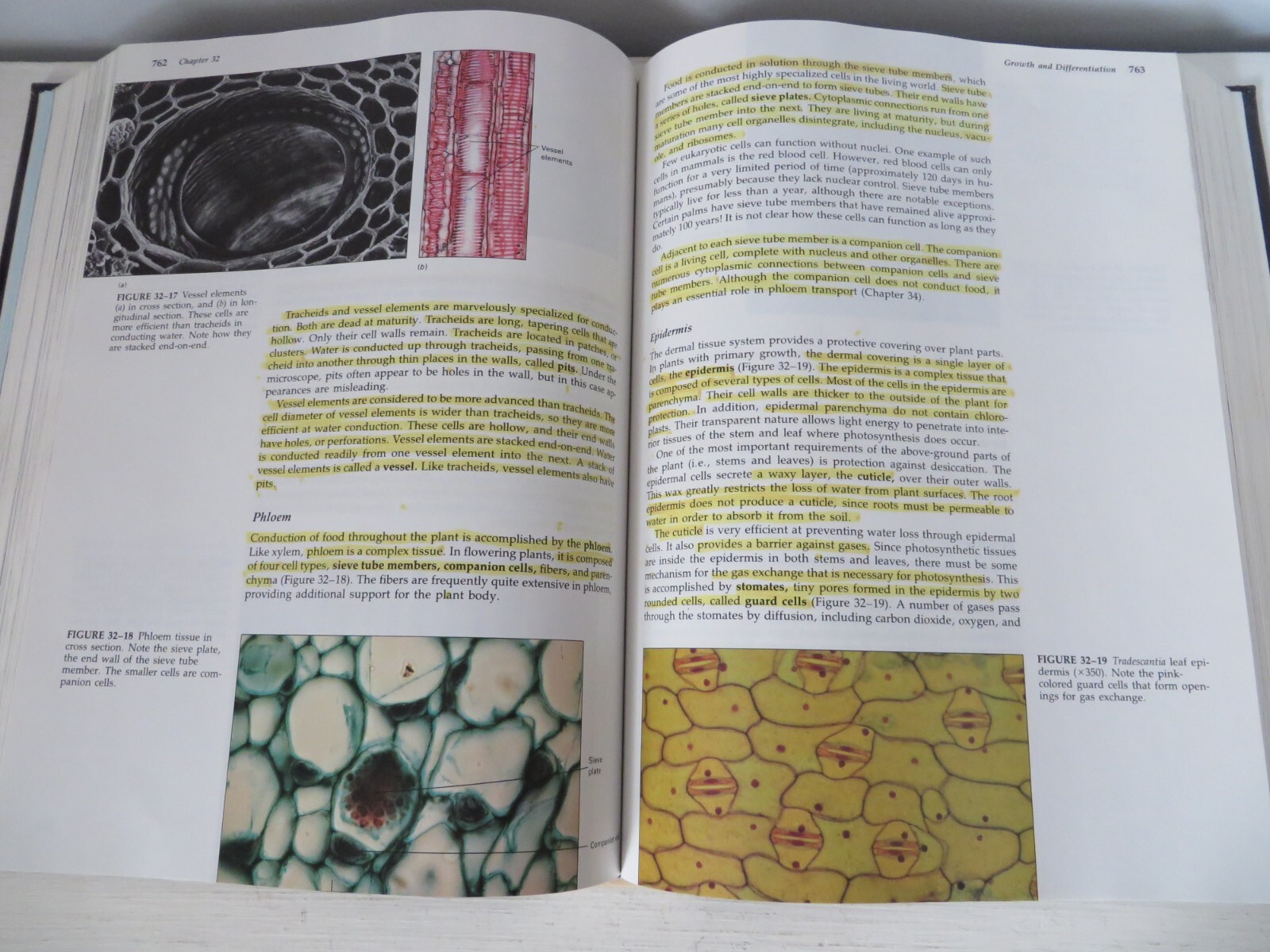 Biology Second Edition Hardcover Collegiate Textbook – 1,455 Pages Total