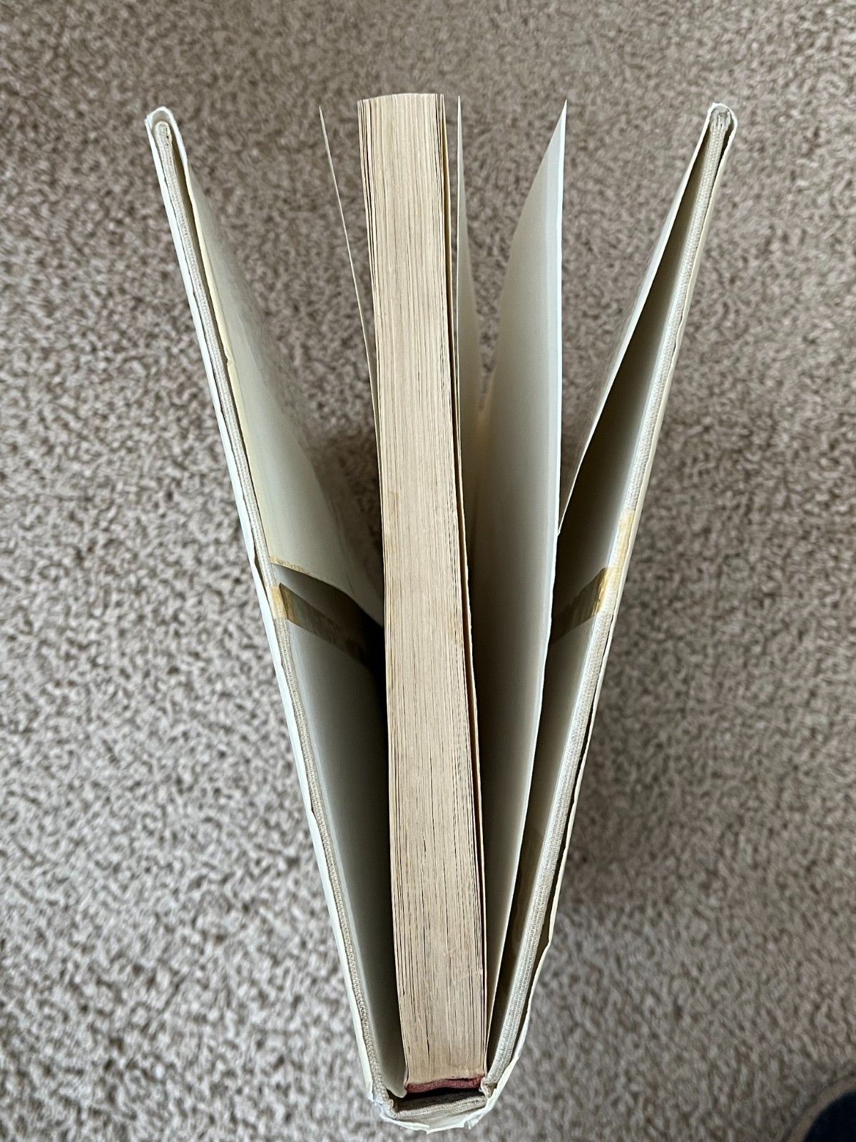 Manual of Guitar Technology Hard Cover, First English Edition, Franz Jahnel 1981