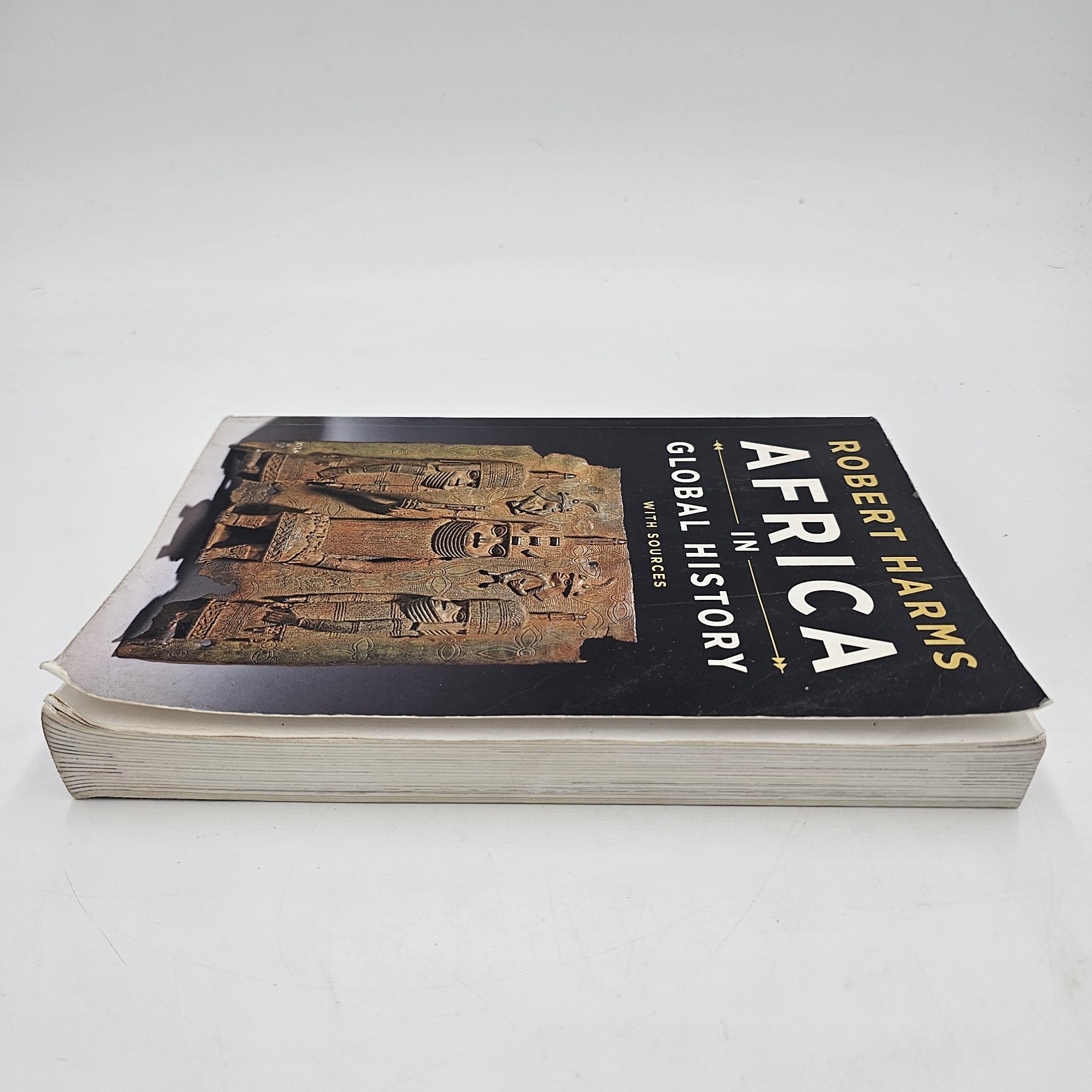 Africa in Global History by Harms | 1st Ed African World History Txtbook PB GOOD
