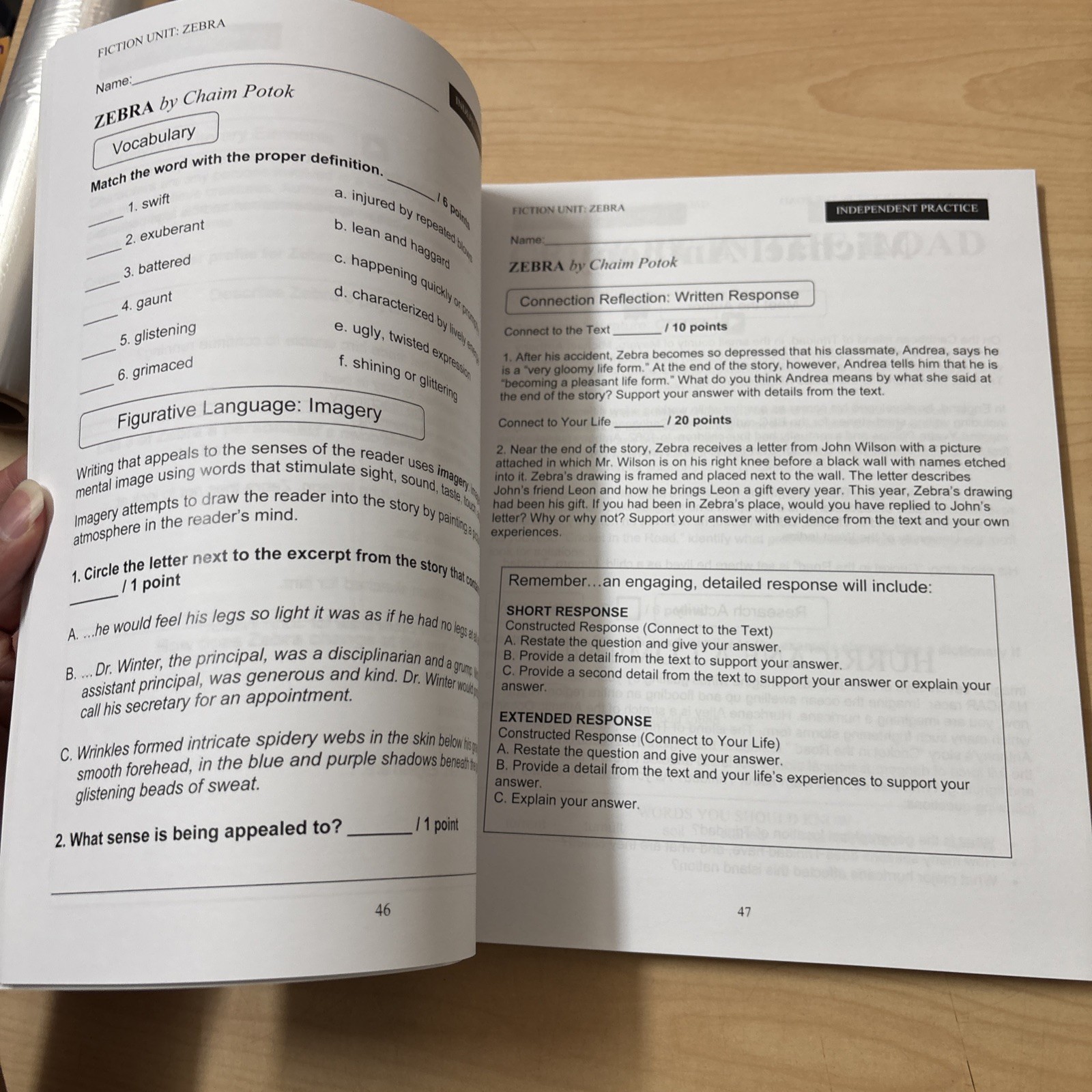 Lot of 2 EIW Essentials in Literature Level 7 Student Book Teacher Handbook VG