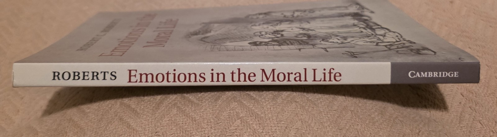 Emotions in the Moral Life by Robert C. Roberts (2015, TPB) – Virtue, Philosophy