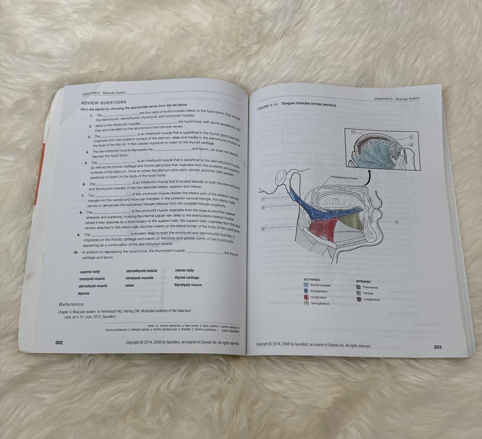 Dental Anatomy Coloring Book 2nd Edition 978-1-4557-4589-0+US SELLER+FREE SHIP