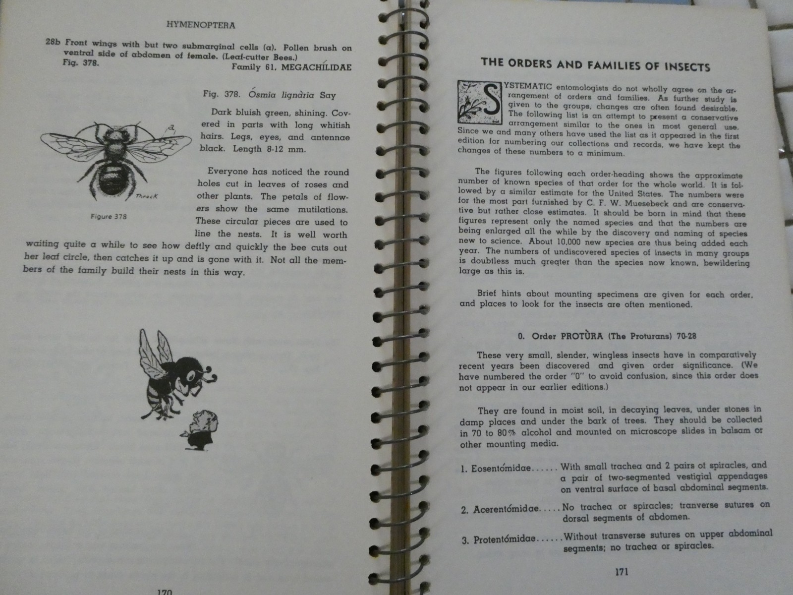 HOW TO KNOW THE INSECTS PUB 1947 SPIRAL BOUND HARD PAPER COVER 205 PAGES