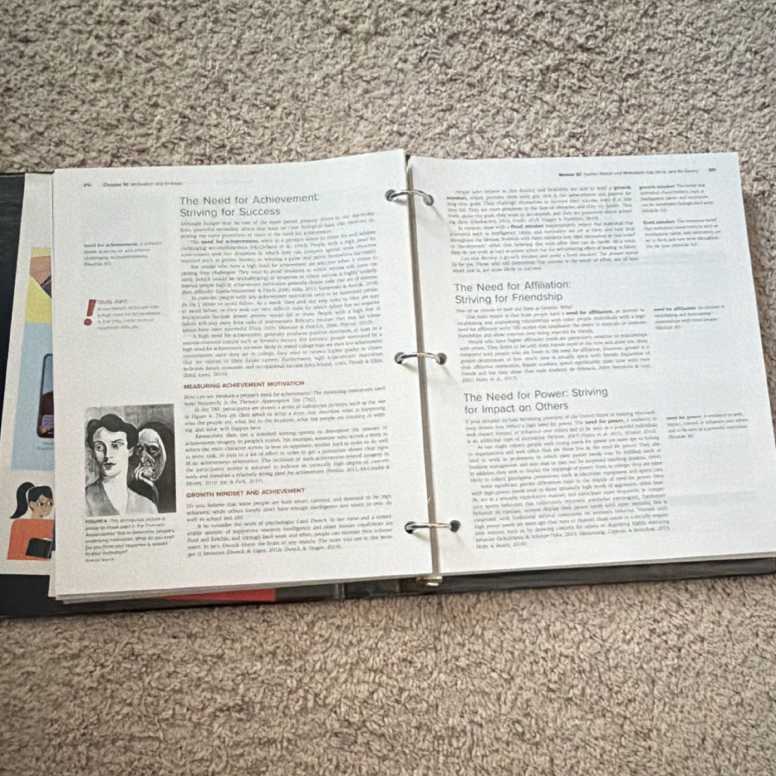 Unused Loose-Leaf Understanding Psychology 15e Textbook