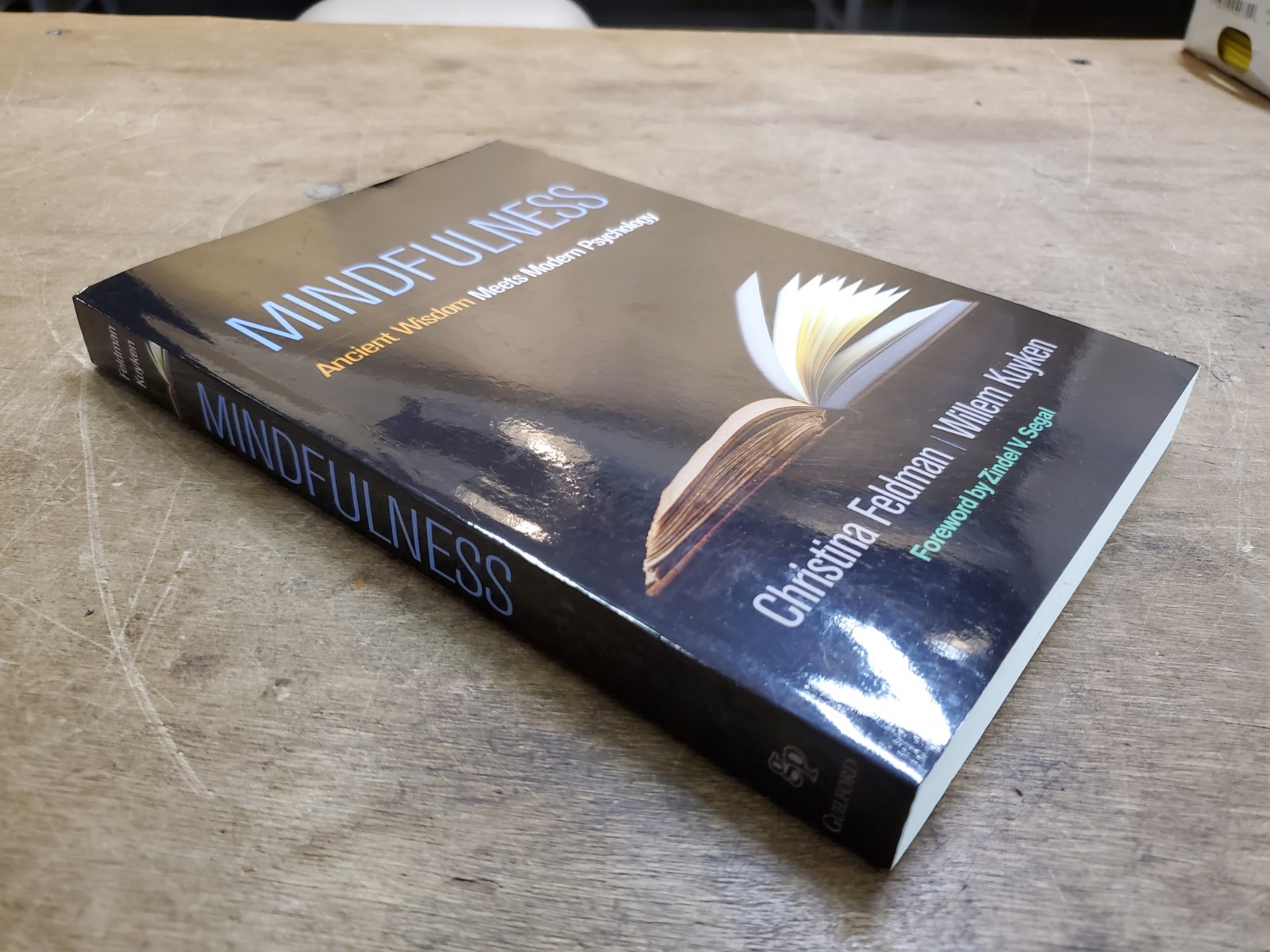 C. FELDMAN W. KUYKEN Mindfulness: Ancient Wisdom Meets Modern Psychology 2019 SC
