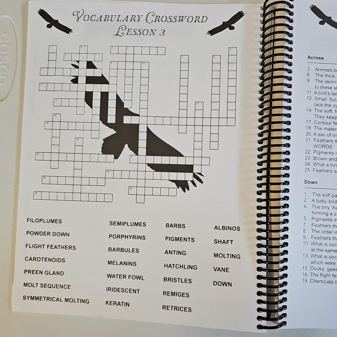 Exploring Creation with Zoology 1 Notebooking Journal by Jeannie Fulbright…