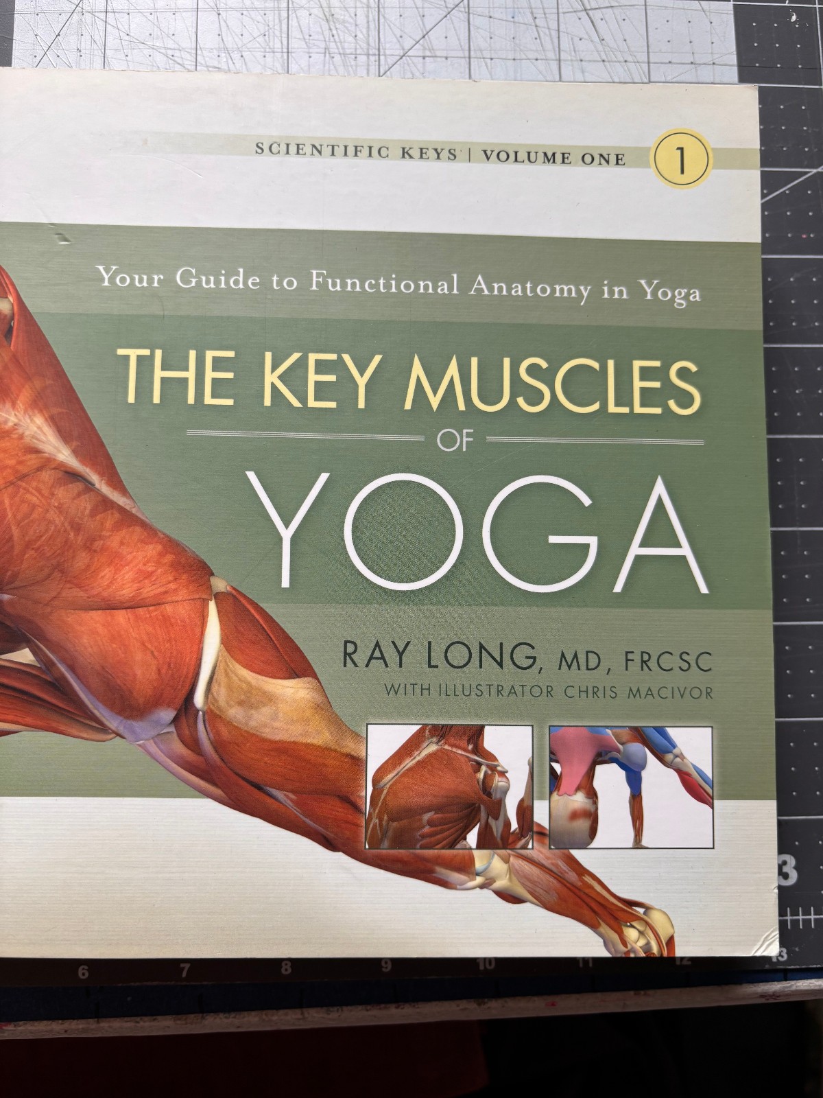 Key Muscles of Yoga Ray Long Vol 1 & 2 Scientific Keys Bandha Yoga Anatomy Set
