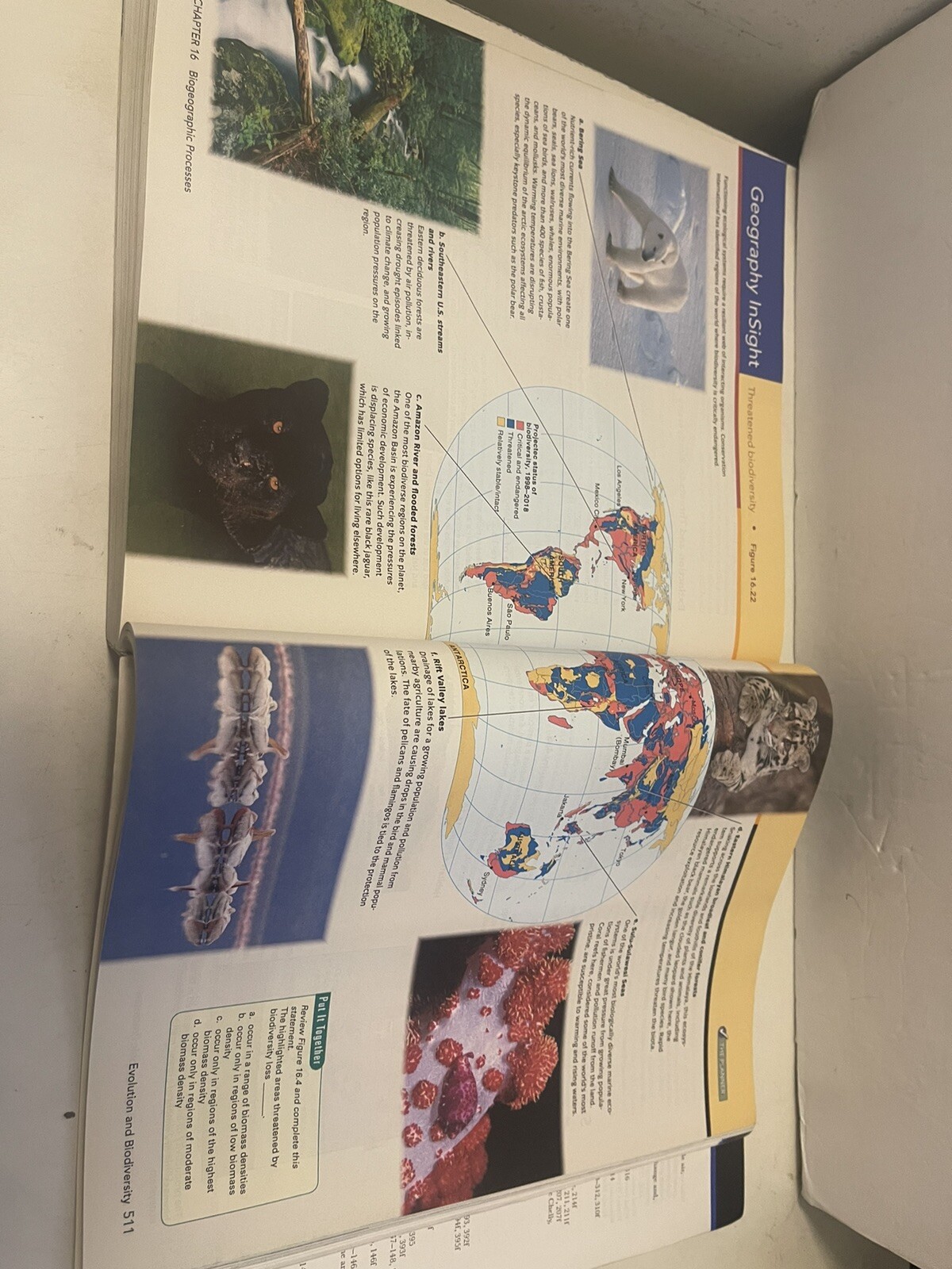 Visualizing Ser.: Visualizing Physical Geography by Timothy Foresman and Alan H.