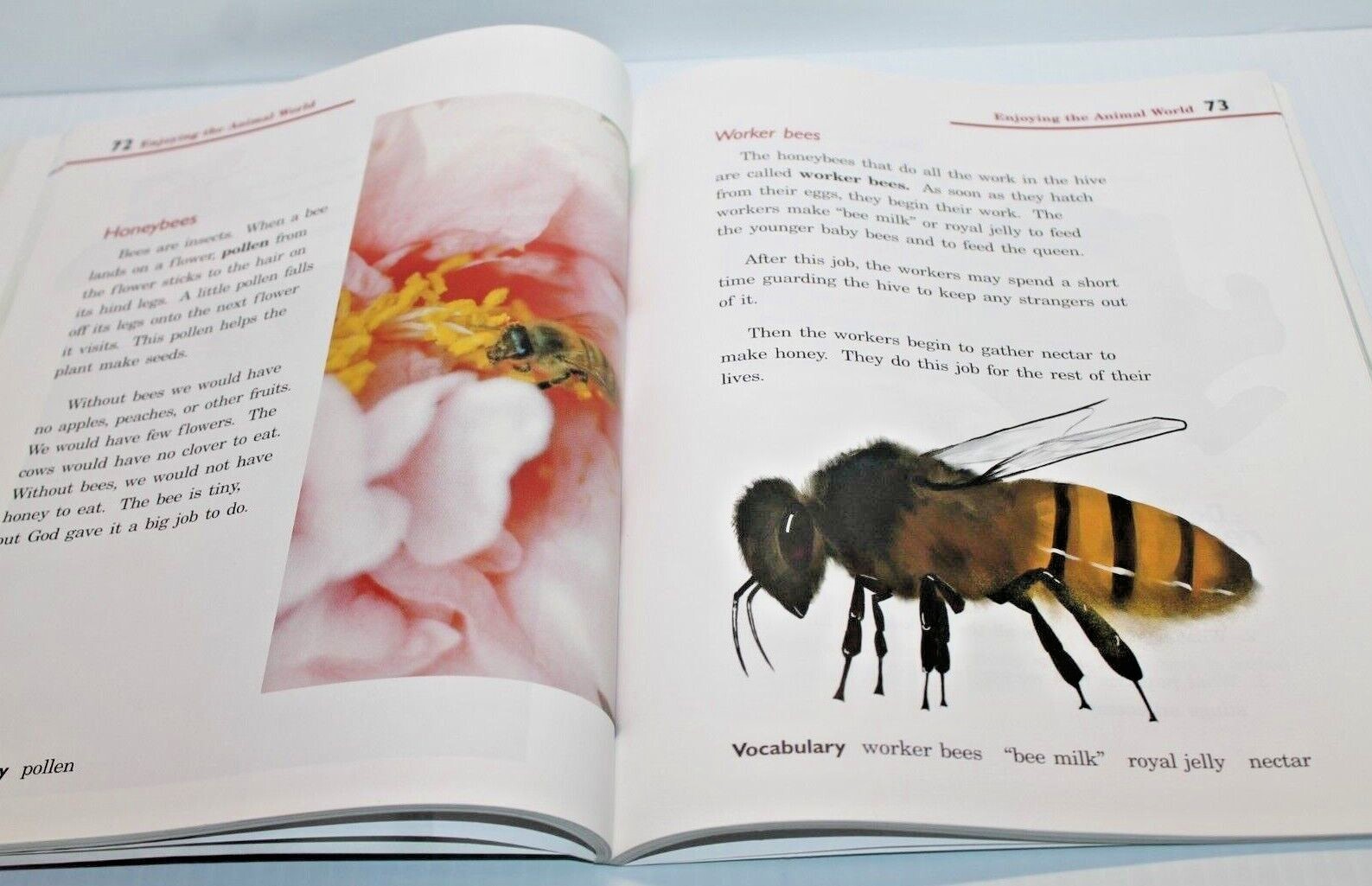 Abeka -Grade 2 -Enjoying God’s World -Science Reader -4th Edition – A Beka Book
