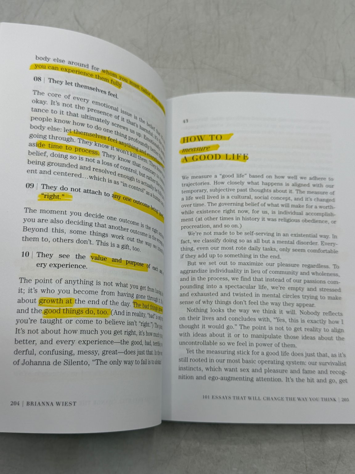 101 ESSAYS that will CHANGE the way YOU THINK Brianna Wiest 2017 Self-Help