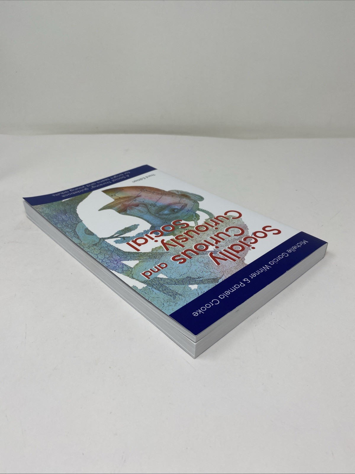 Socially Curious Curiously Social 3rd Ed PB 2021 Winner Crooke Clean Pages