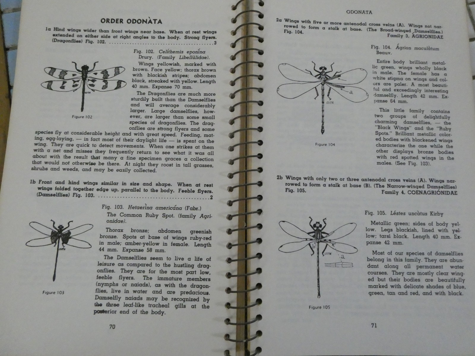 HOW TO KNOW THE INSECTS PUB 1947 SPIRAL BOUND HARD PAPER COVER 205 PAGES