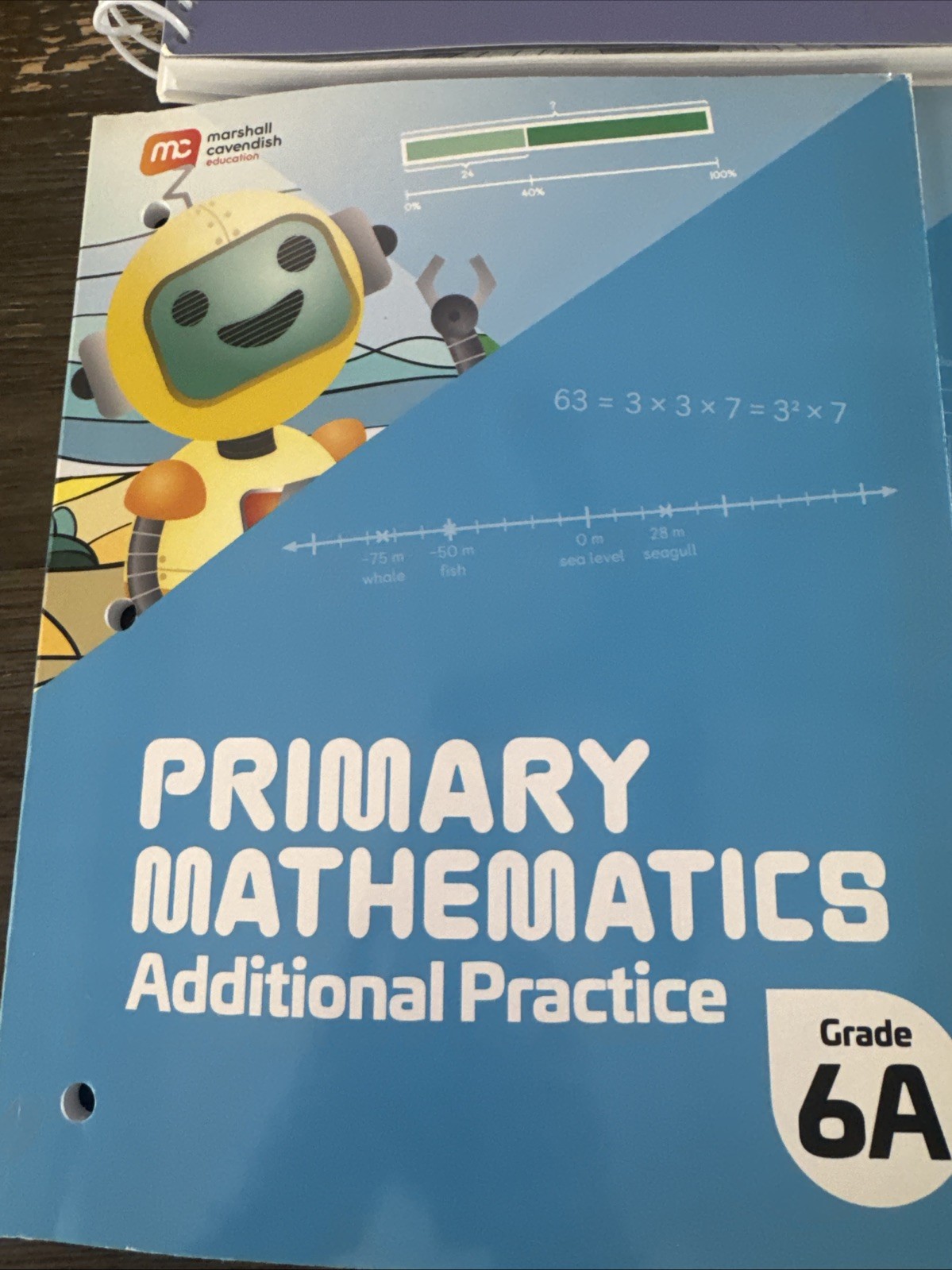 NEW Primary Mathematics Teacher’s Guide Grade 6A 6b student book Math Curriculum