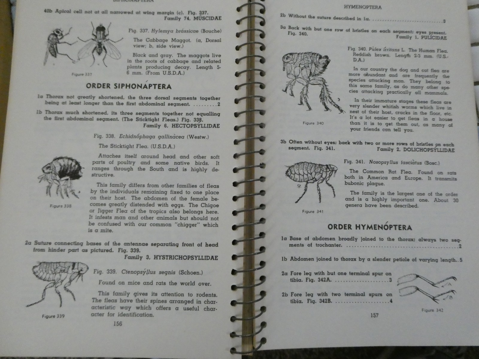 HOW TO KNOW THE INSECTS PUB 1947 SPIRAL BOUND HARD PAPER COVER 205 PAGES