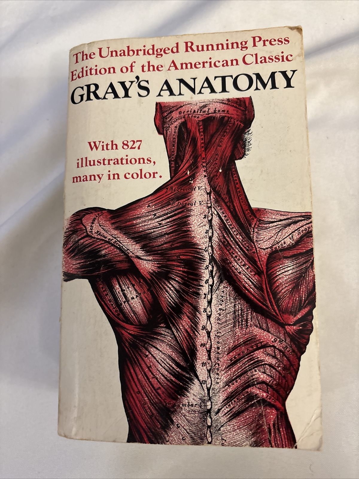 Grays Anatomy; the Unabridged Running Press Edition of the American Classic 1974