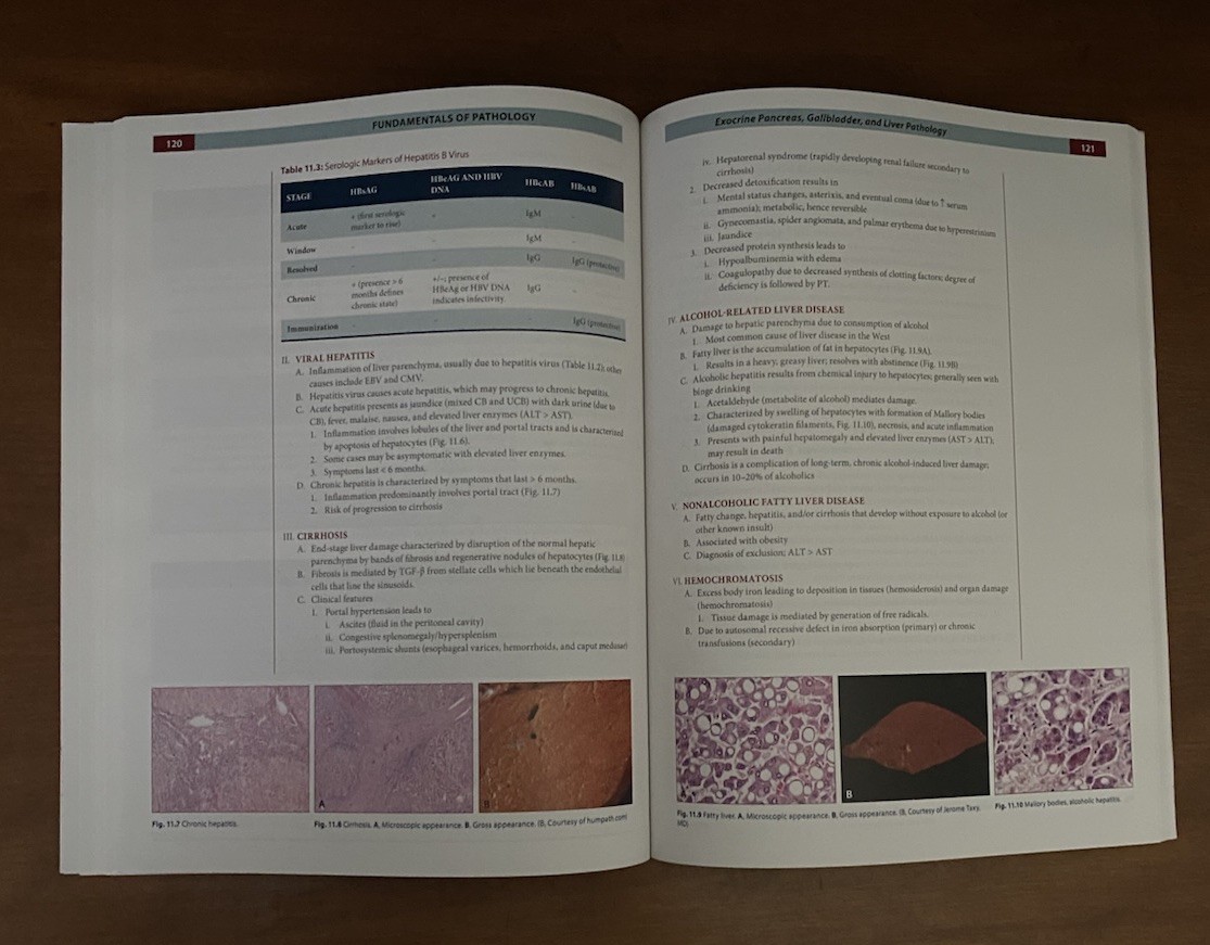 Pathoma Fundamentals of Pathology 2019 Husain A Sattar